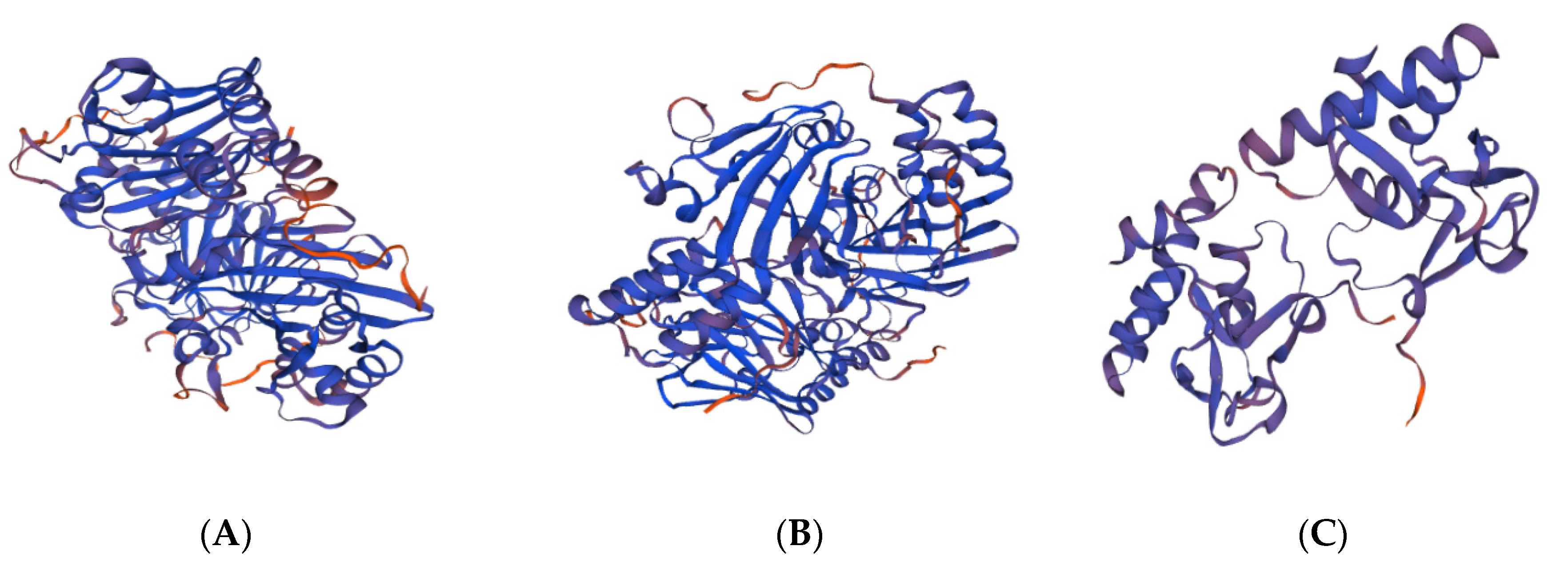 Genes 13 02307 g004 Genes 13 02307 g004