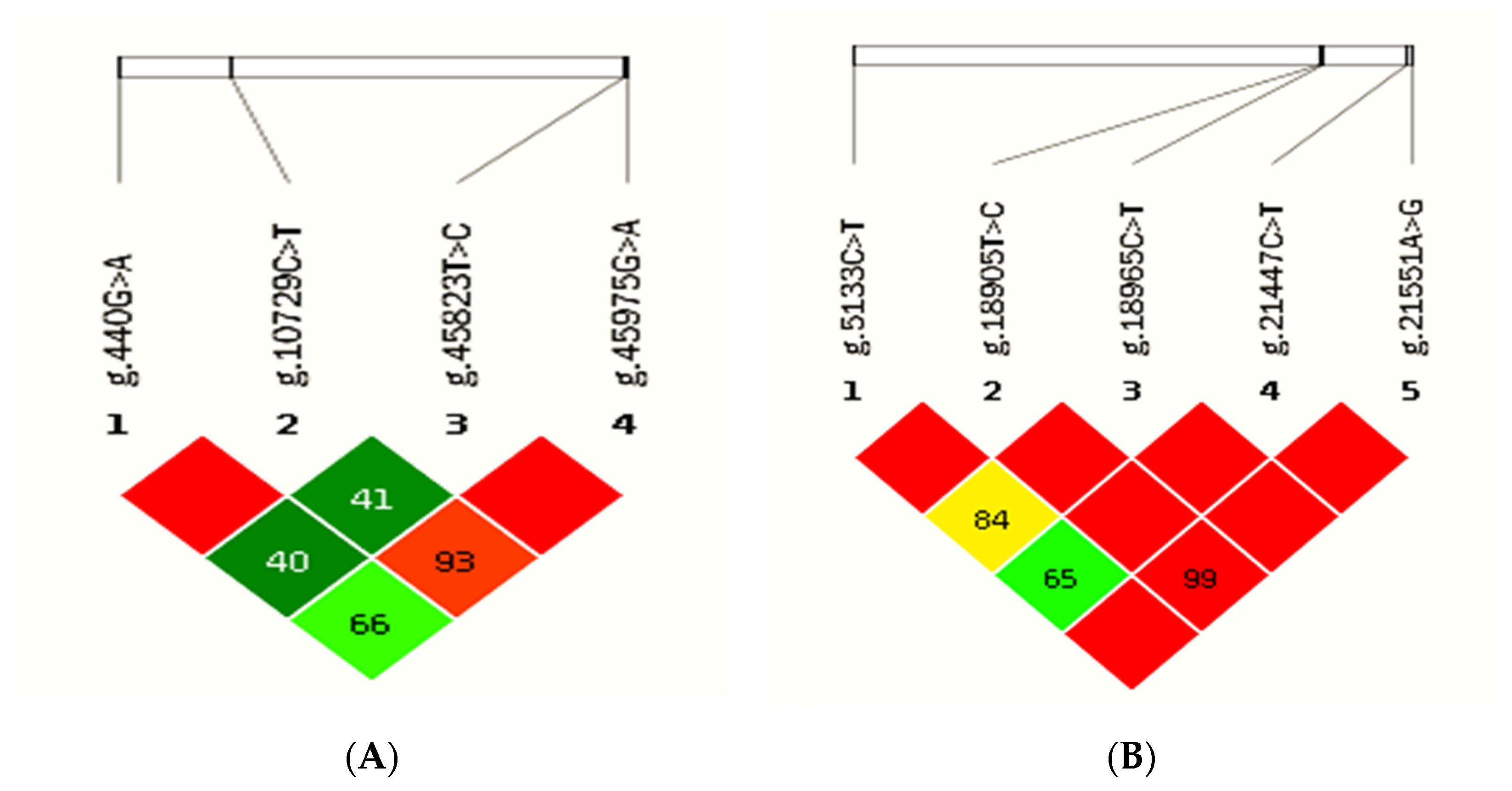 Genes 13 02307 g006 Genes 13 02307 g006