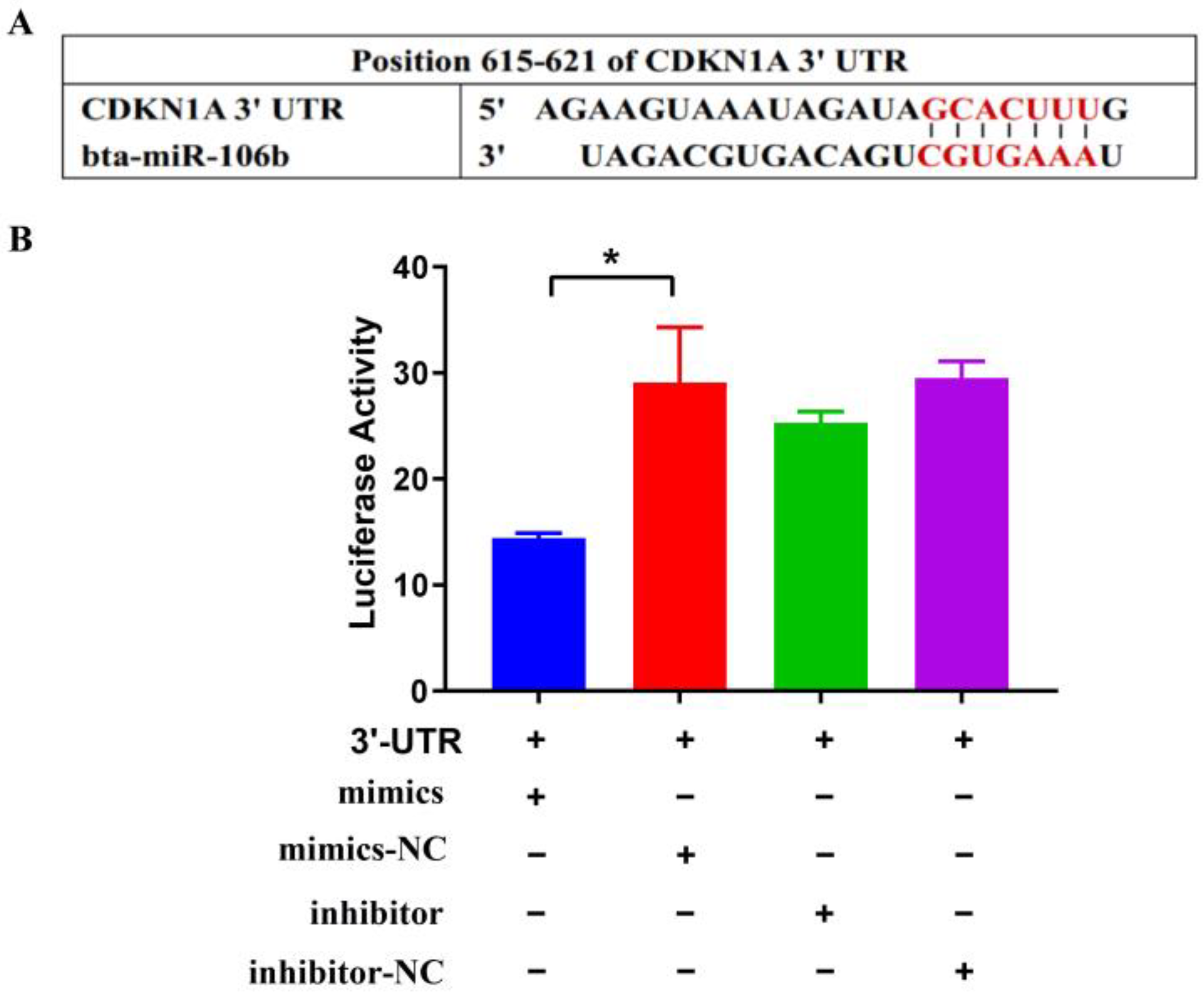 Genes 13 02308 g001 Genes 13 02308 g001