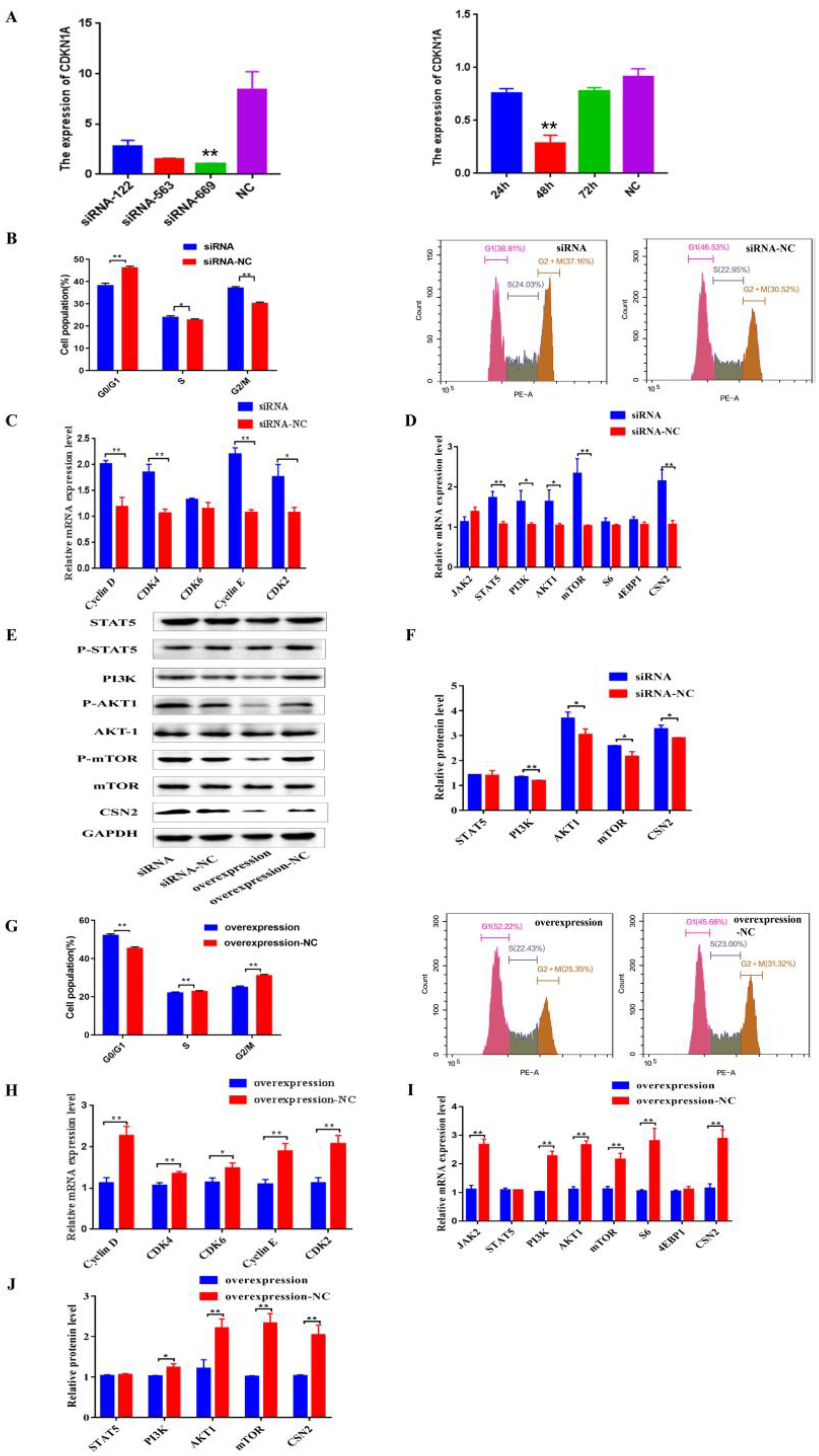 Genes 13 02308 g006 Genes 13 02308 g006