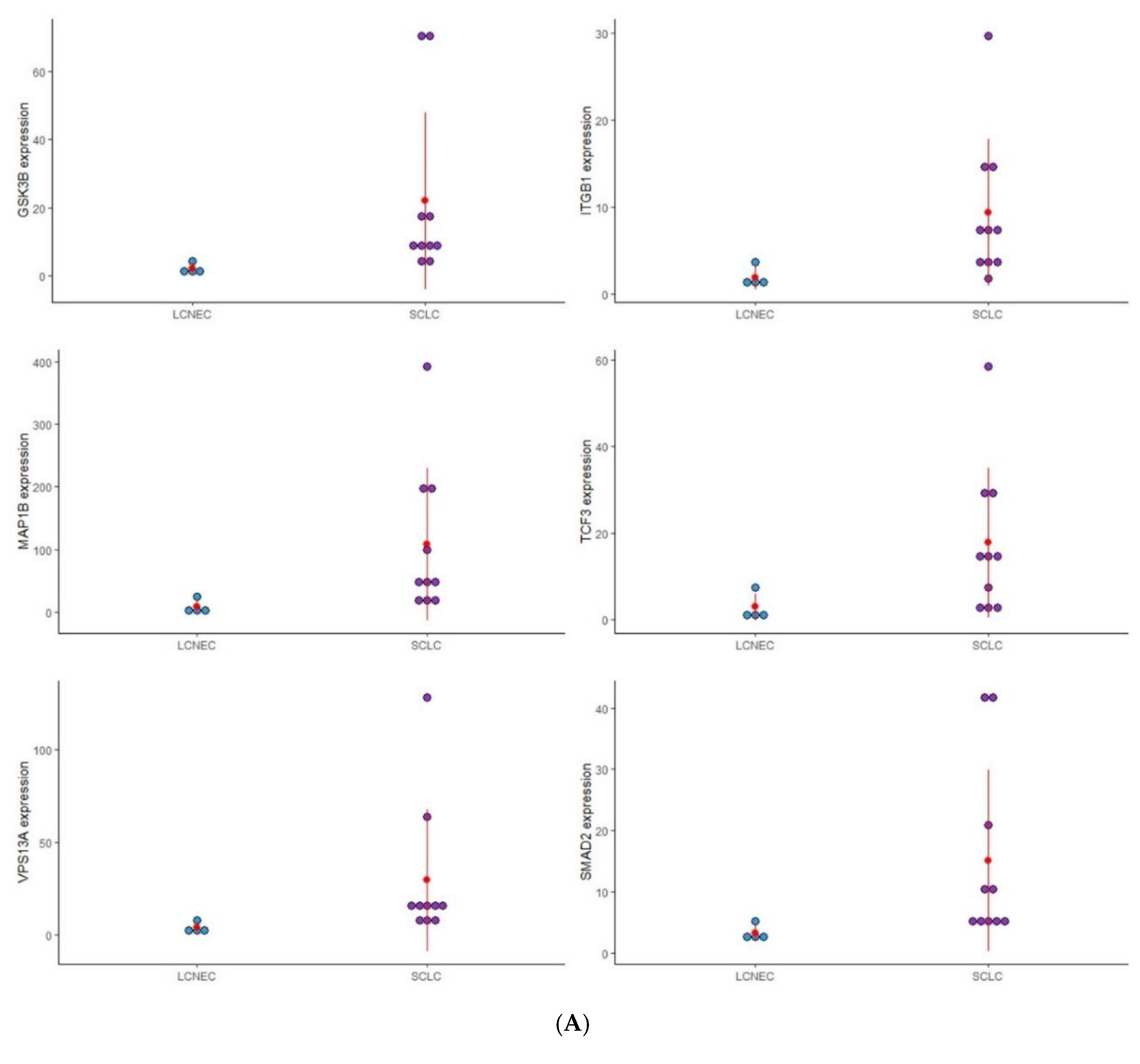 Genes 13 02309 g001a