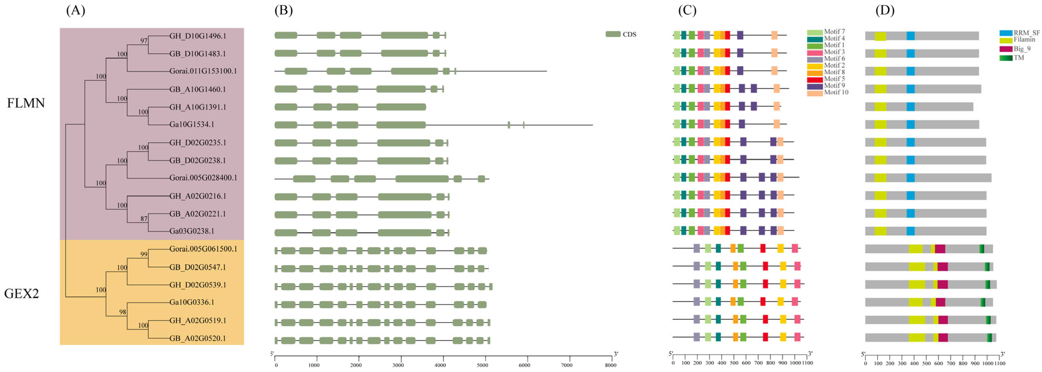 Genes 13 02313 g004 Genes 13 02313 g004
