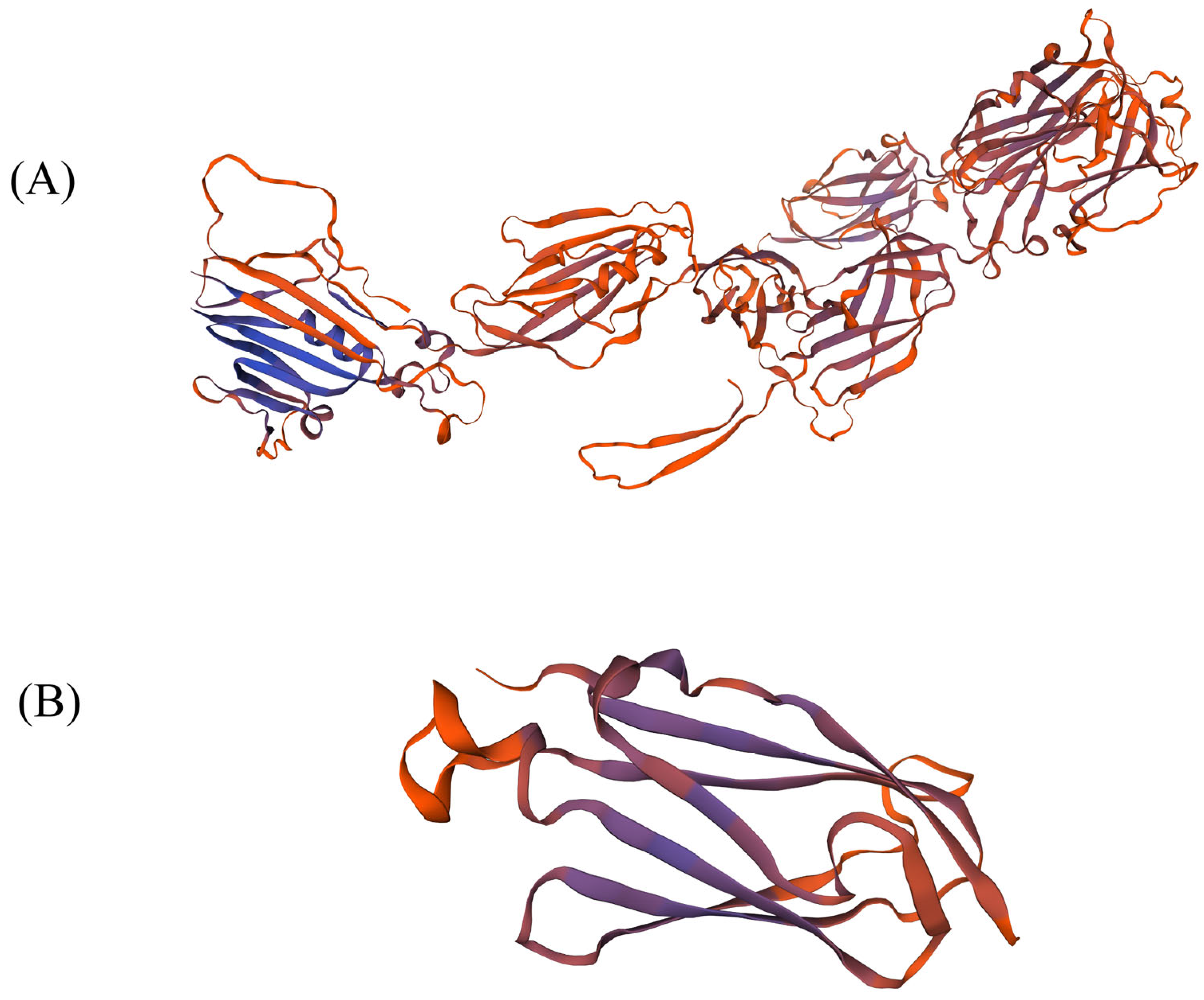 Genes 13 02313 g006 Genes 13 02313 g006