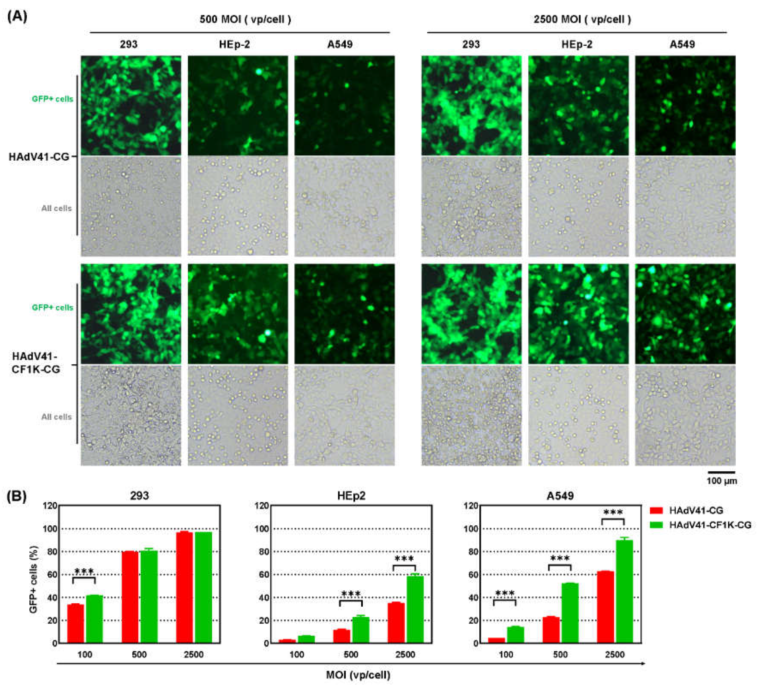 Genes 13 02316 g007 Genes 13 02316 g007