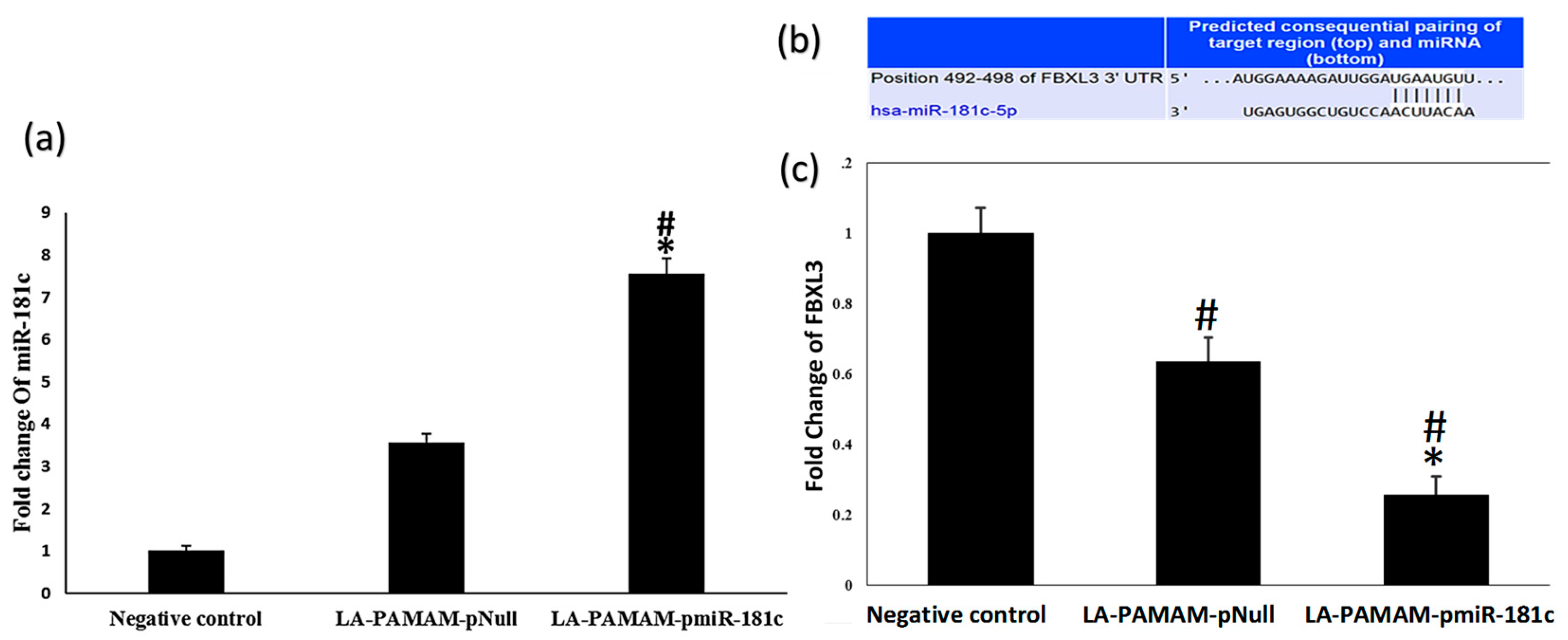 Genes 13 02343 g007