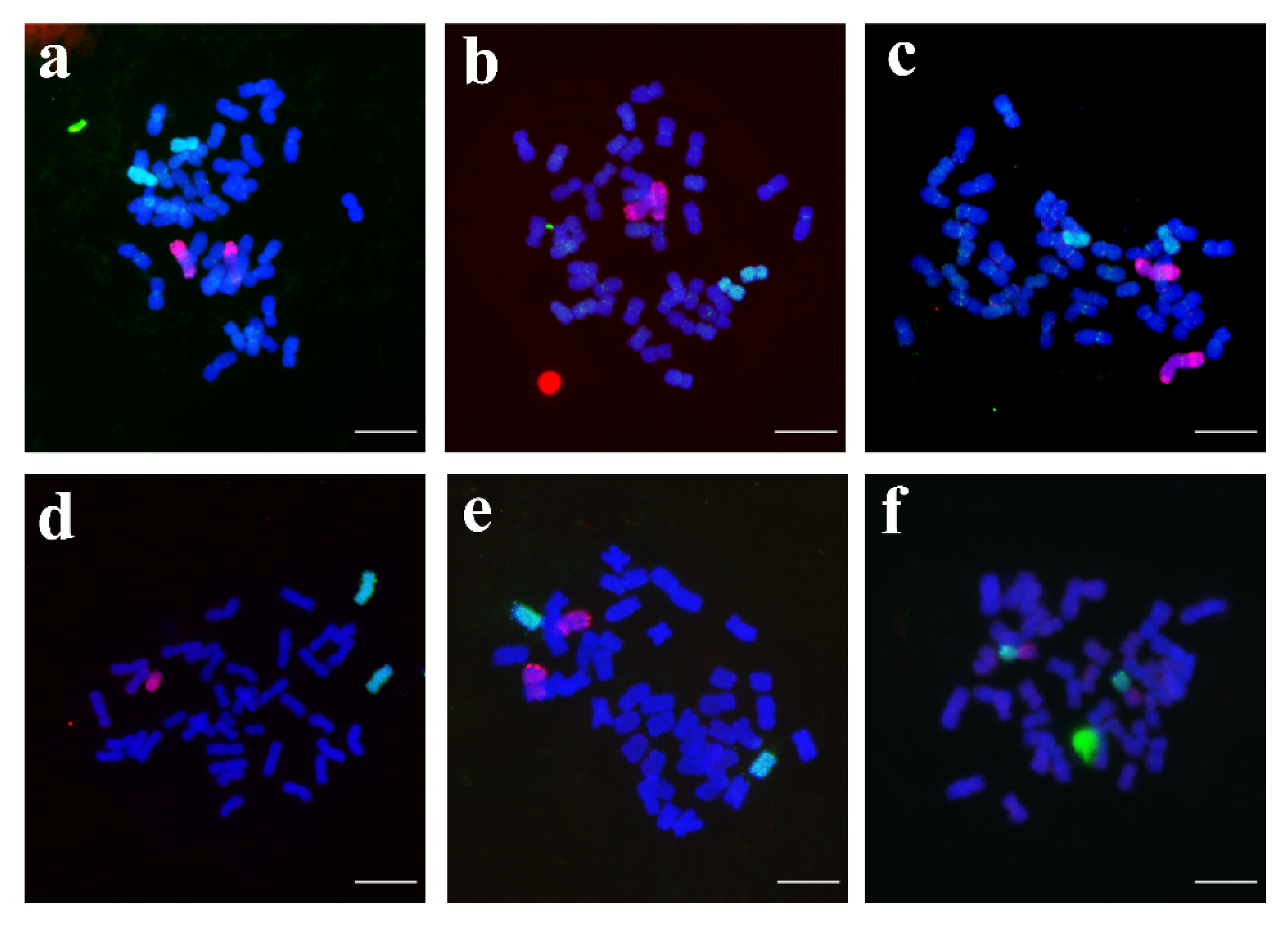 Genes 13 02345 g003 Genes 13 02345 g003