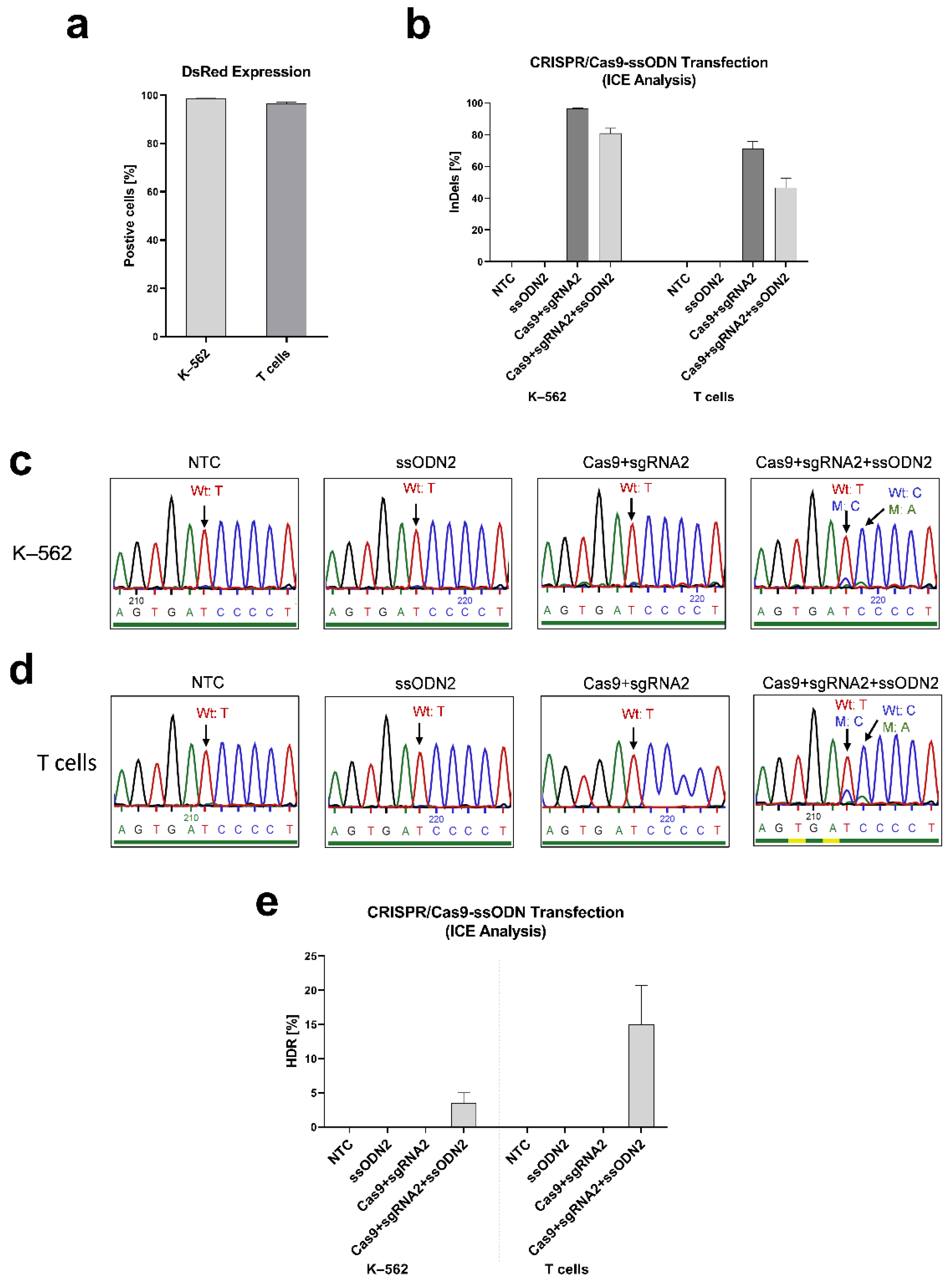 Genes 13 02348 g003 Genes 13 02348 g003