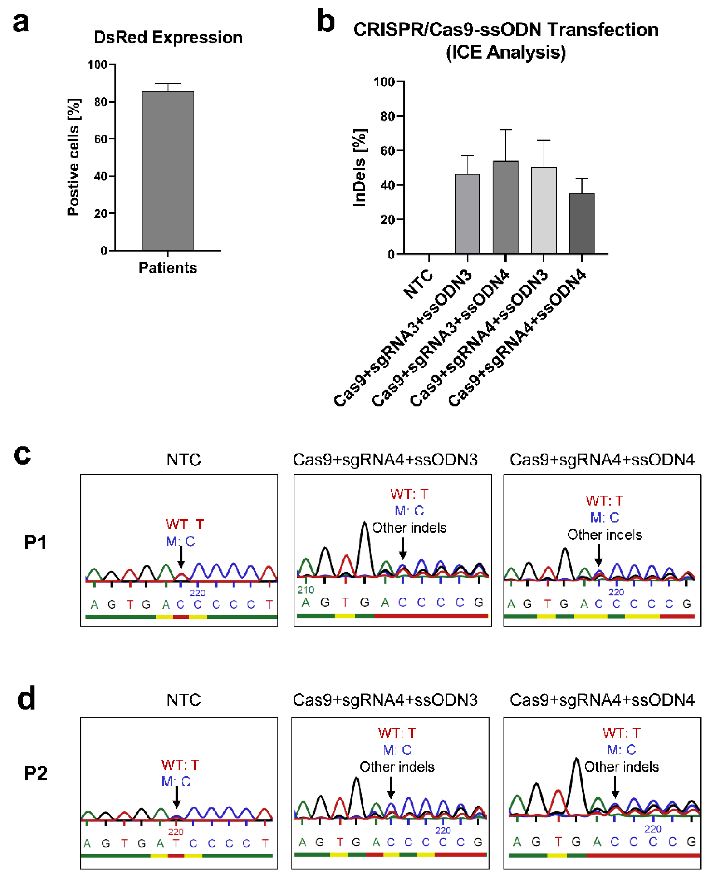 Genes 13 02348 g004 Genes 13 02348 g004