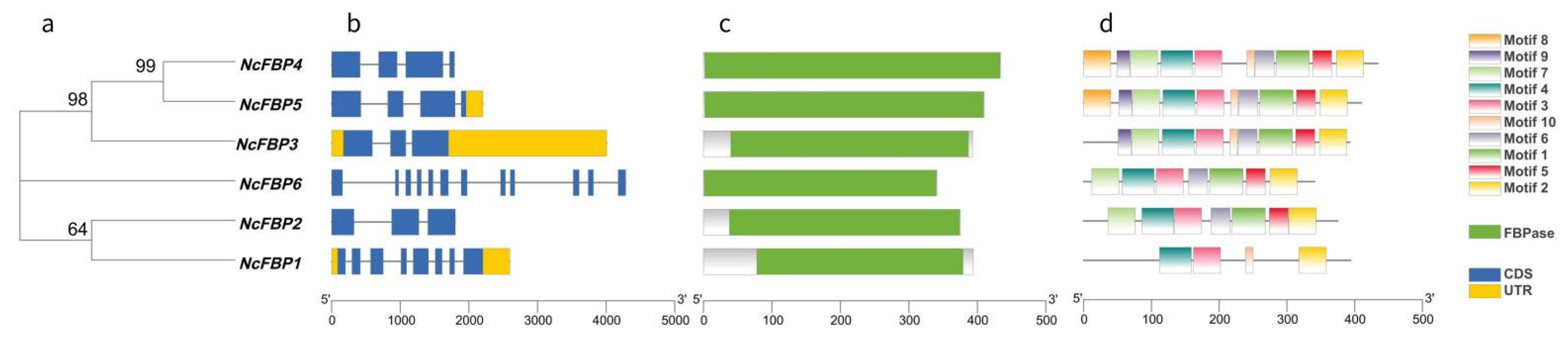Genes 13 02349 g001