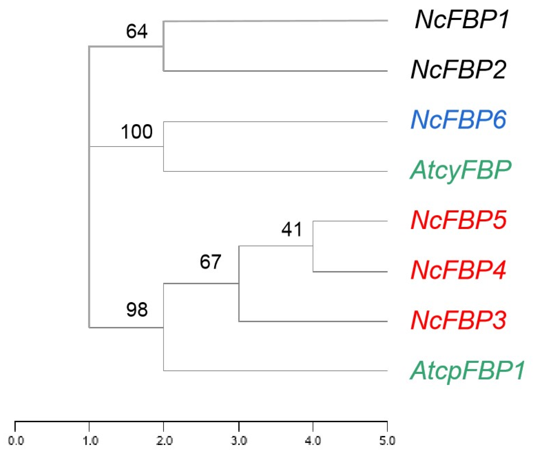 Genes 13 02349 g002