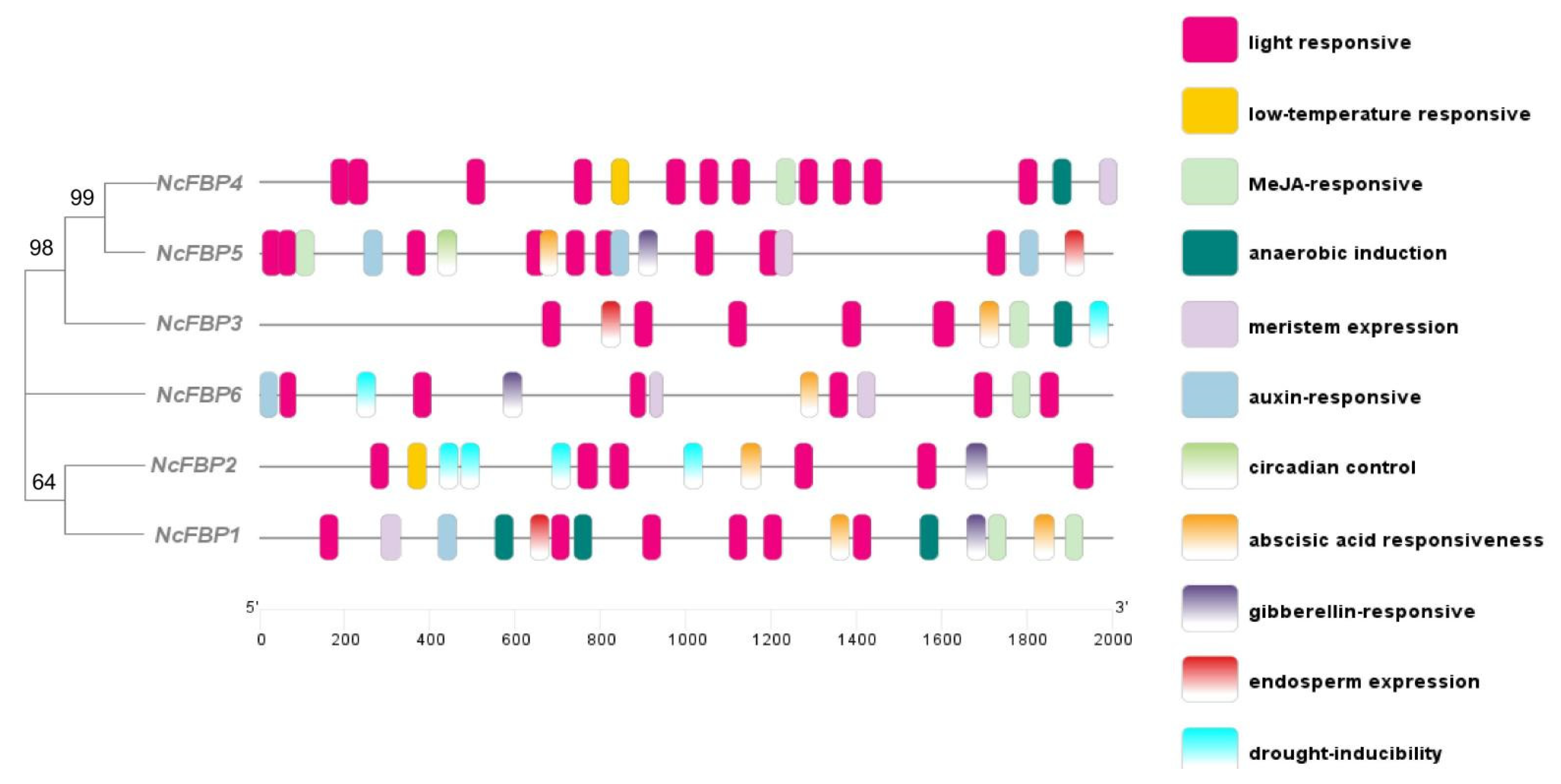 Genes 13 02349 g003
