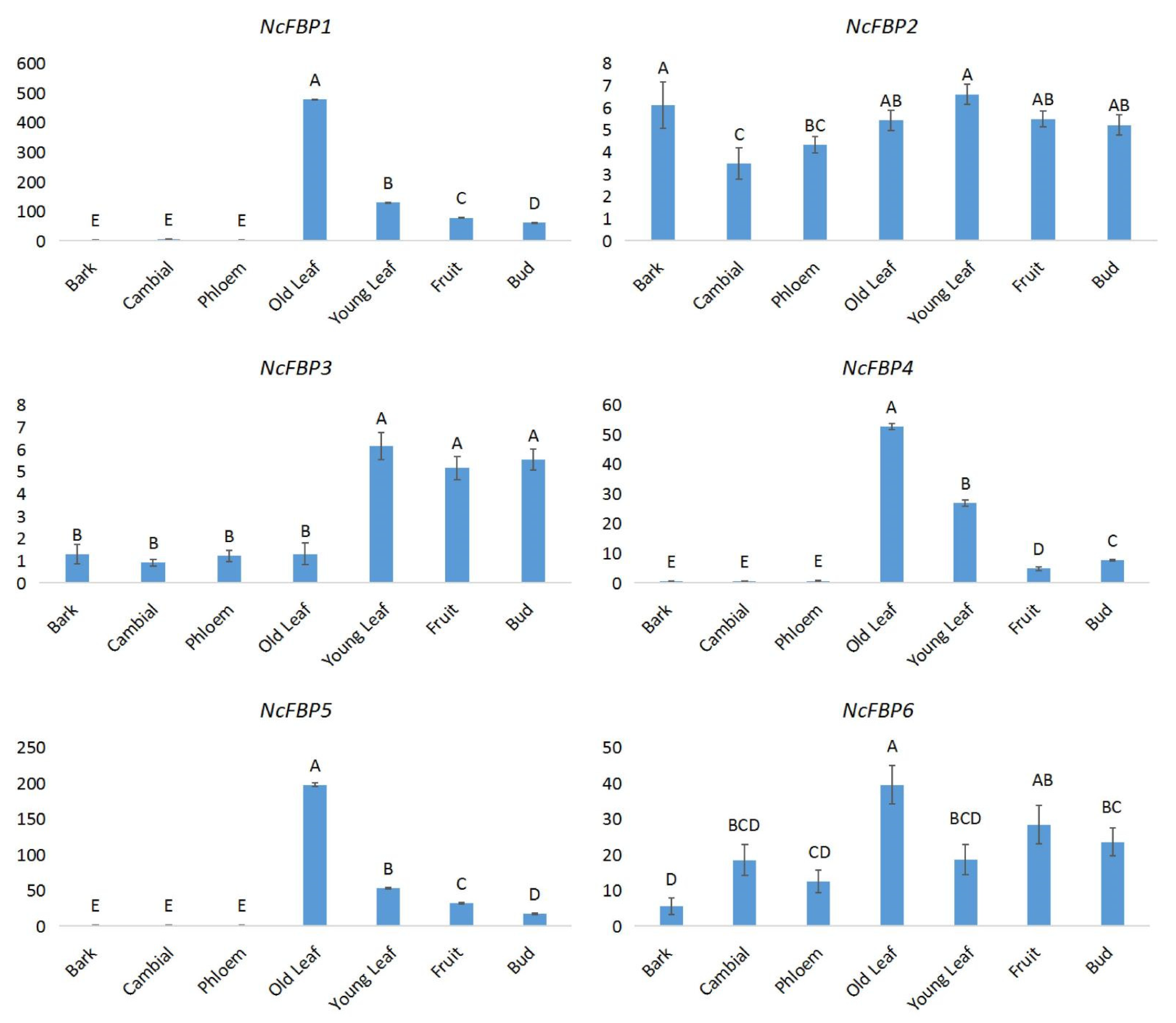 Genes 13 02349 g004