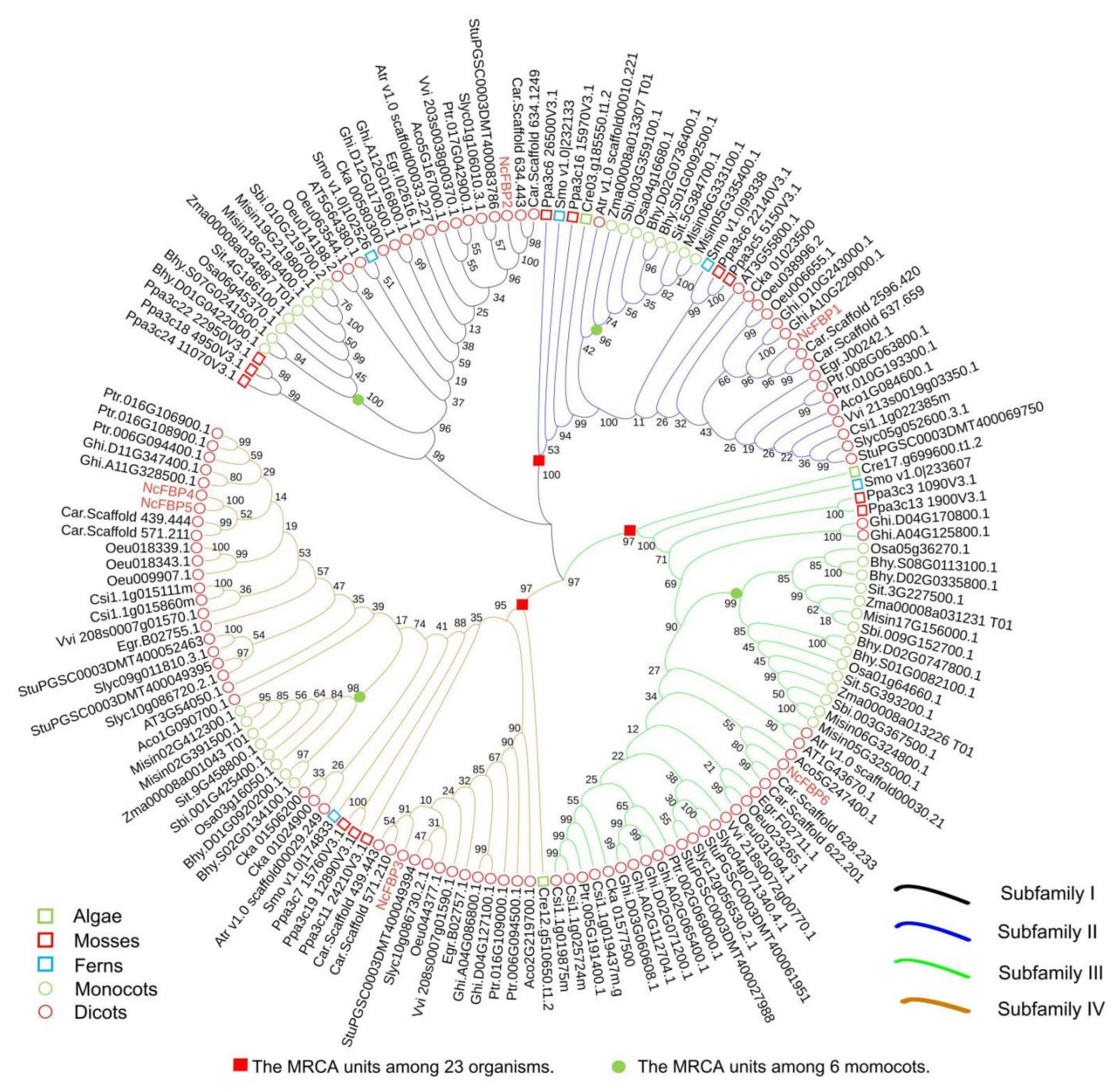Genes 13 02349 g005