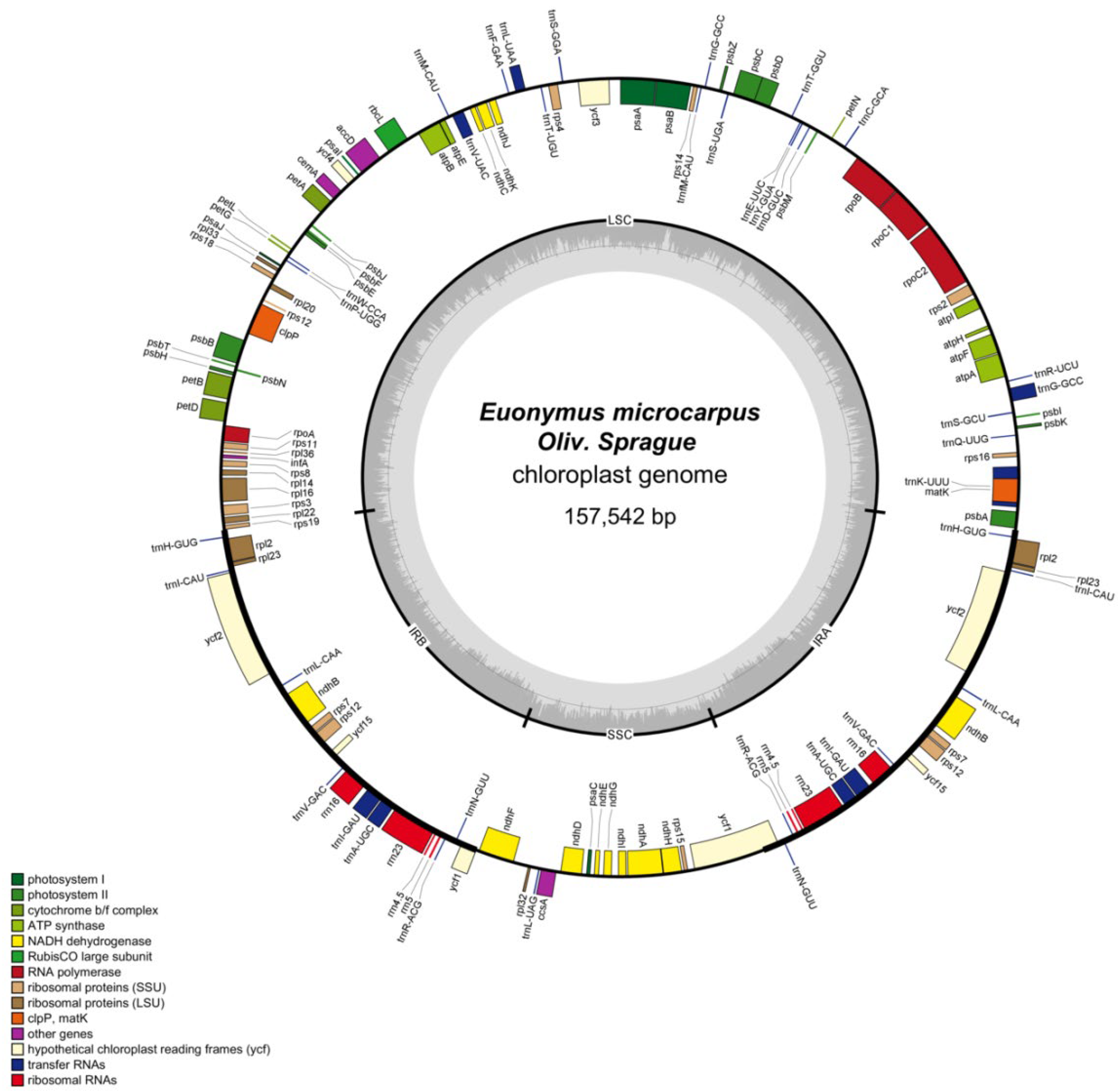 Genes 13 02352 g001