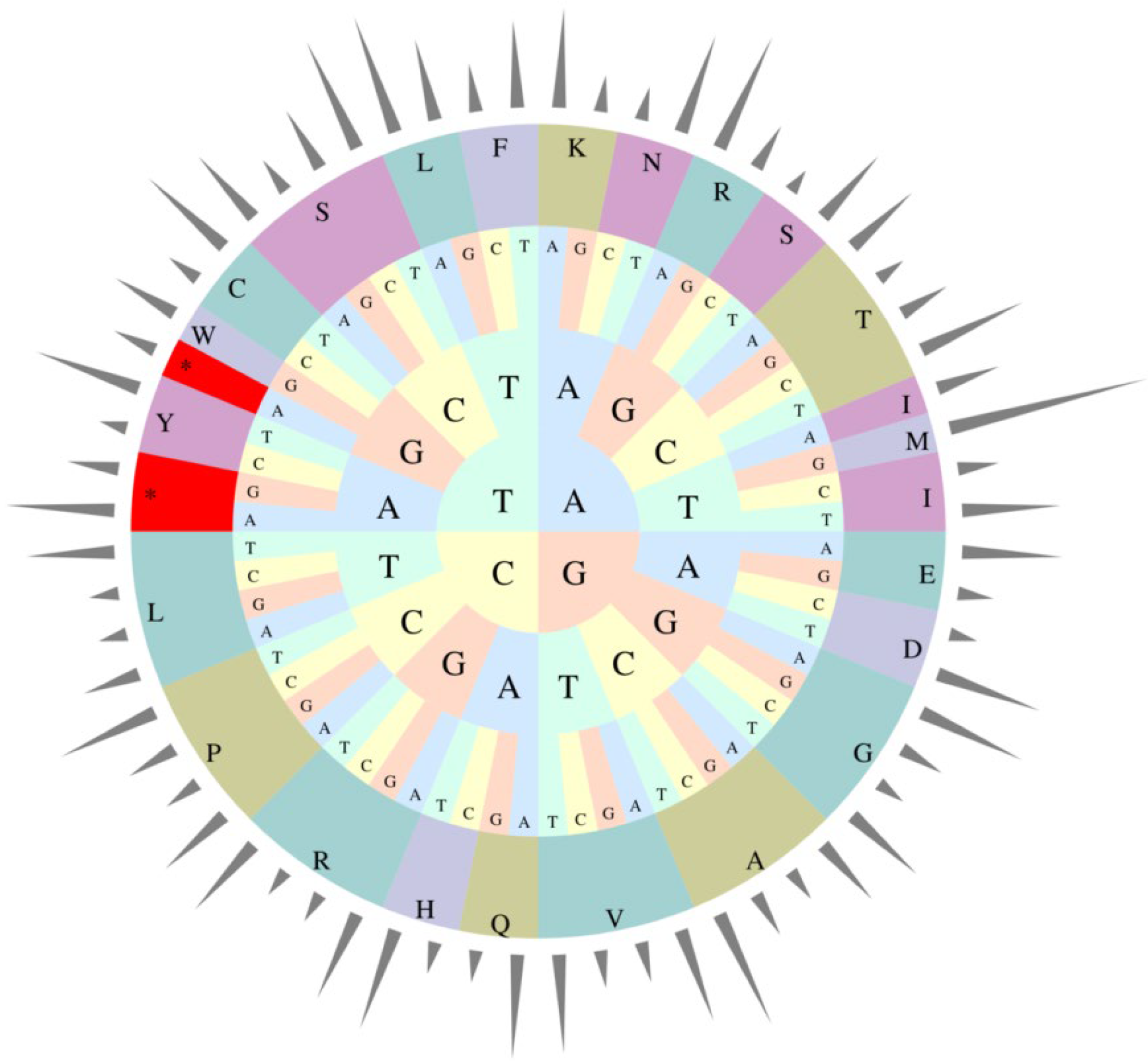 Genes 13 02352 g003