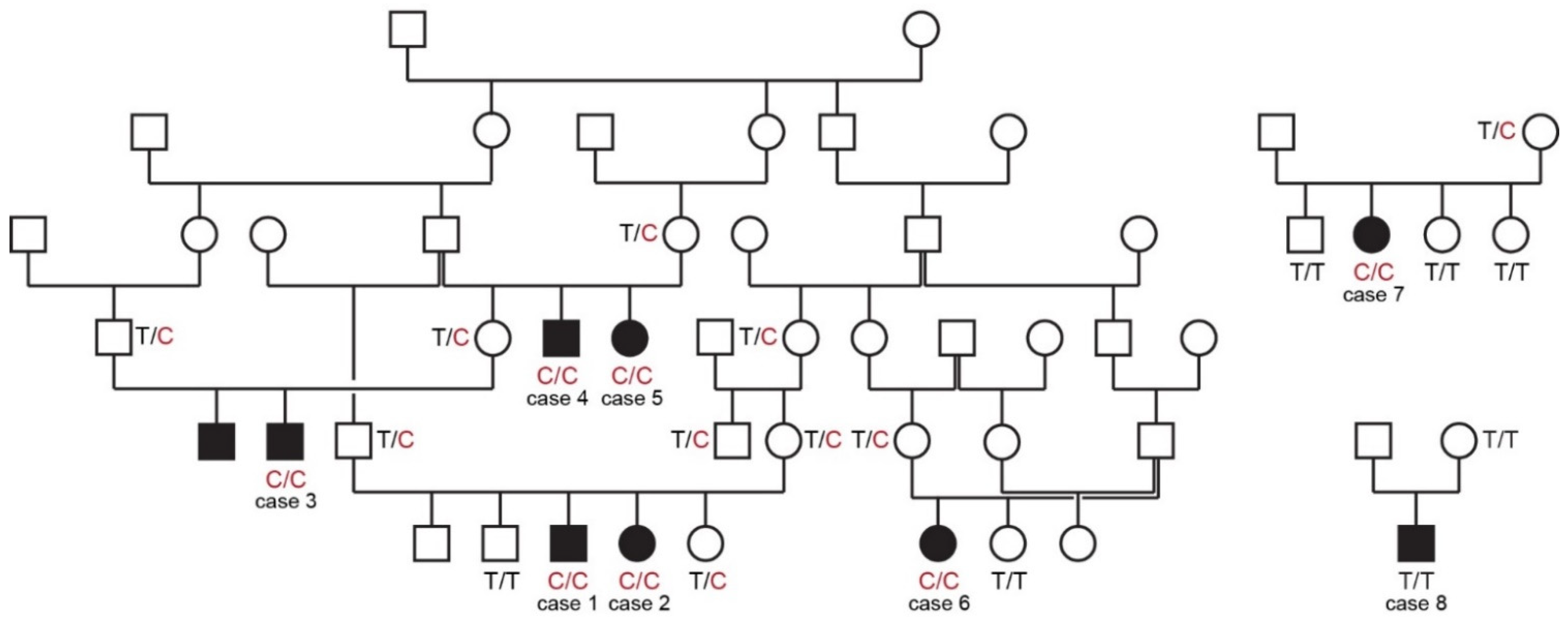 Genes 13 02354 g001 Genes 13 02354 g001