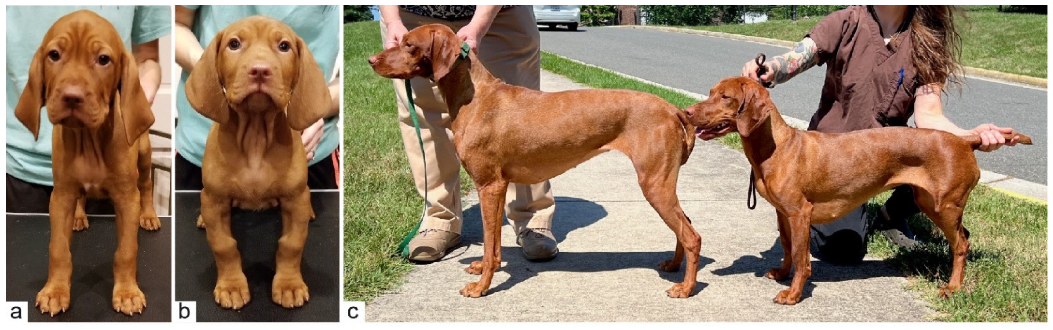 Genes 13 02354 g002 Genes 13 02354 g002