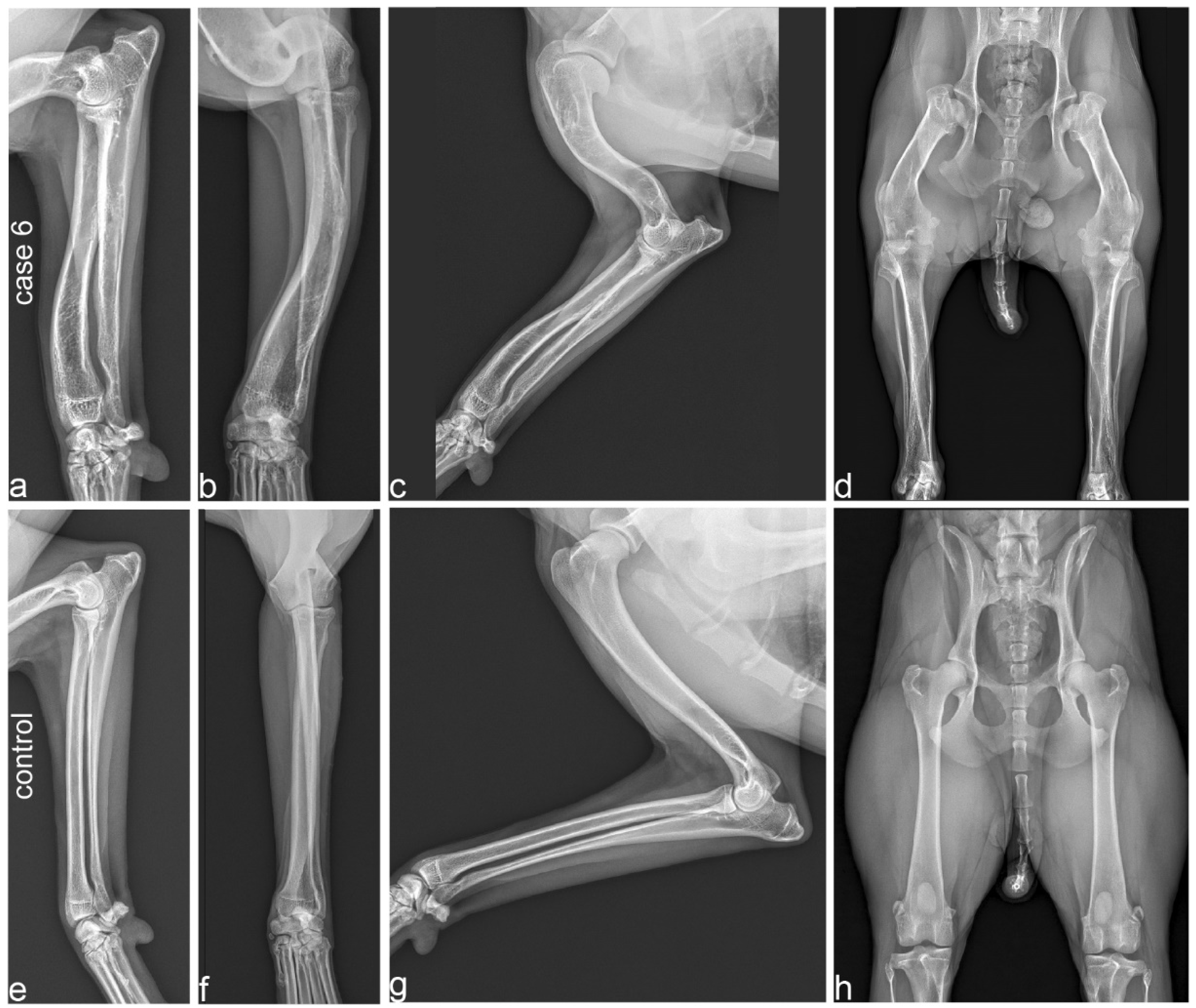 Genes 13 02354 g003 Genes 13 02354 g003