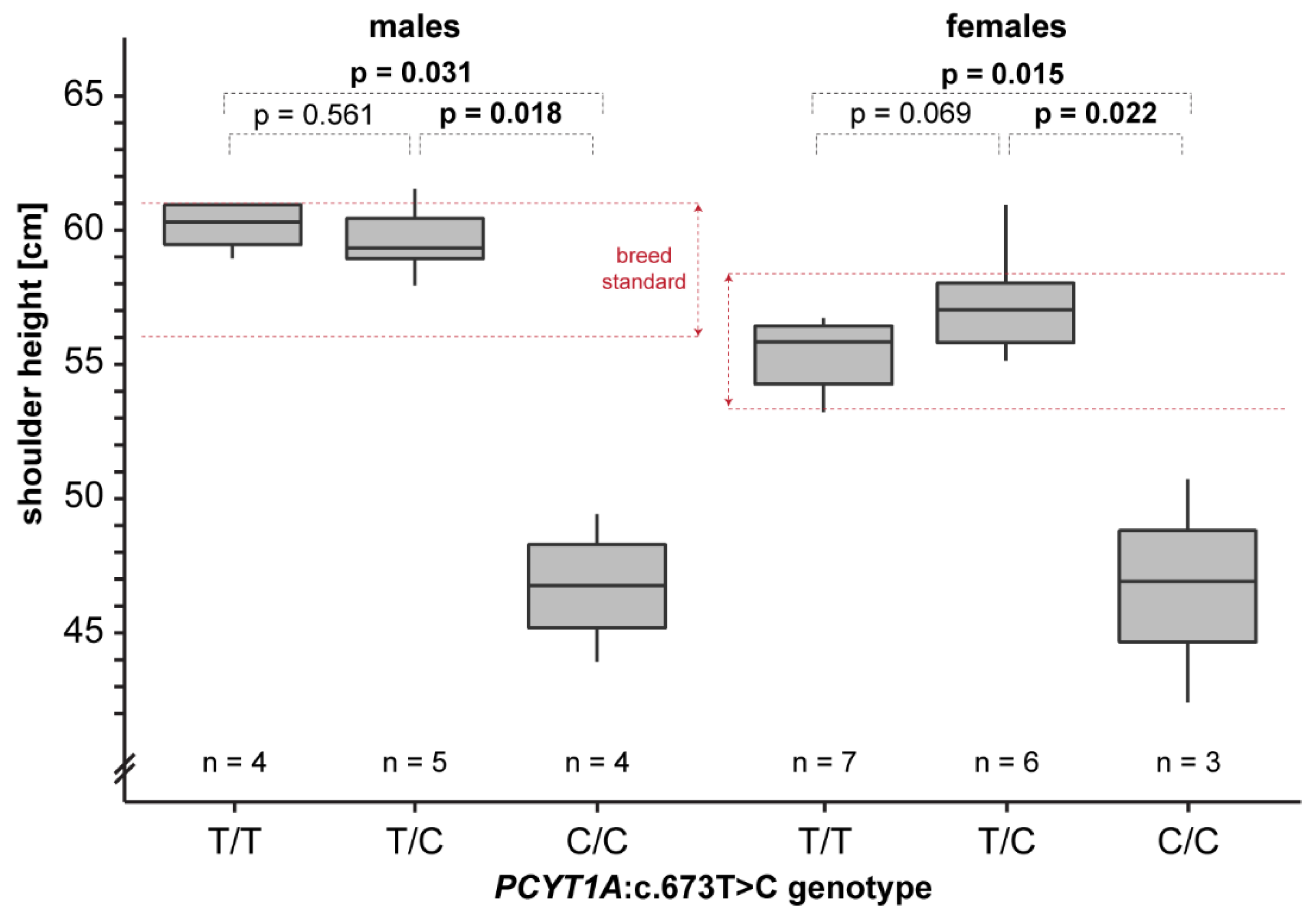 Genes 13 02354 g005 Genes 13 02354 g005