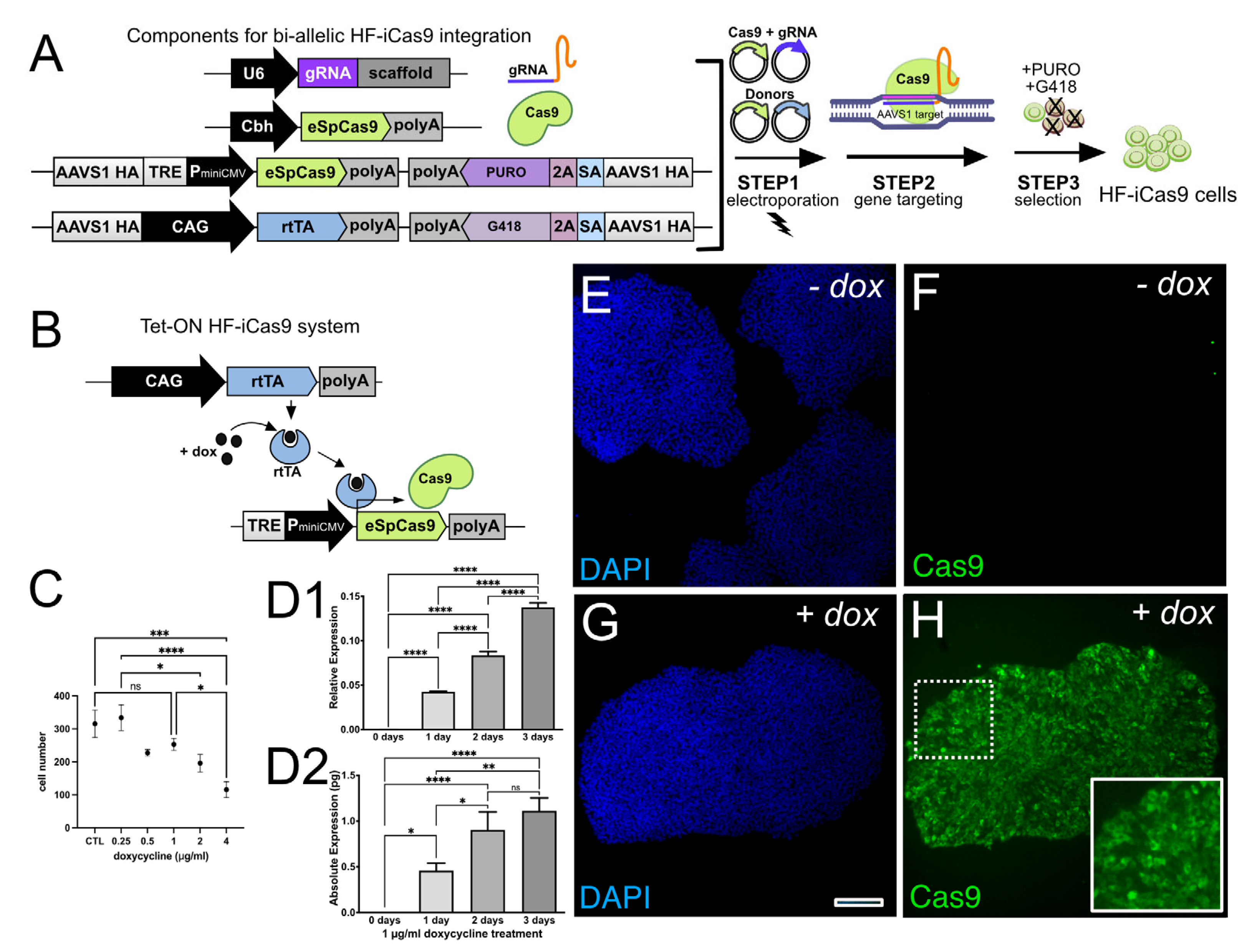 Genes 13 02363 g001 Genes 13 02363 g001
