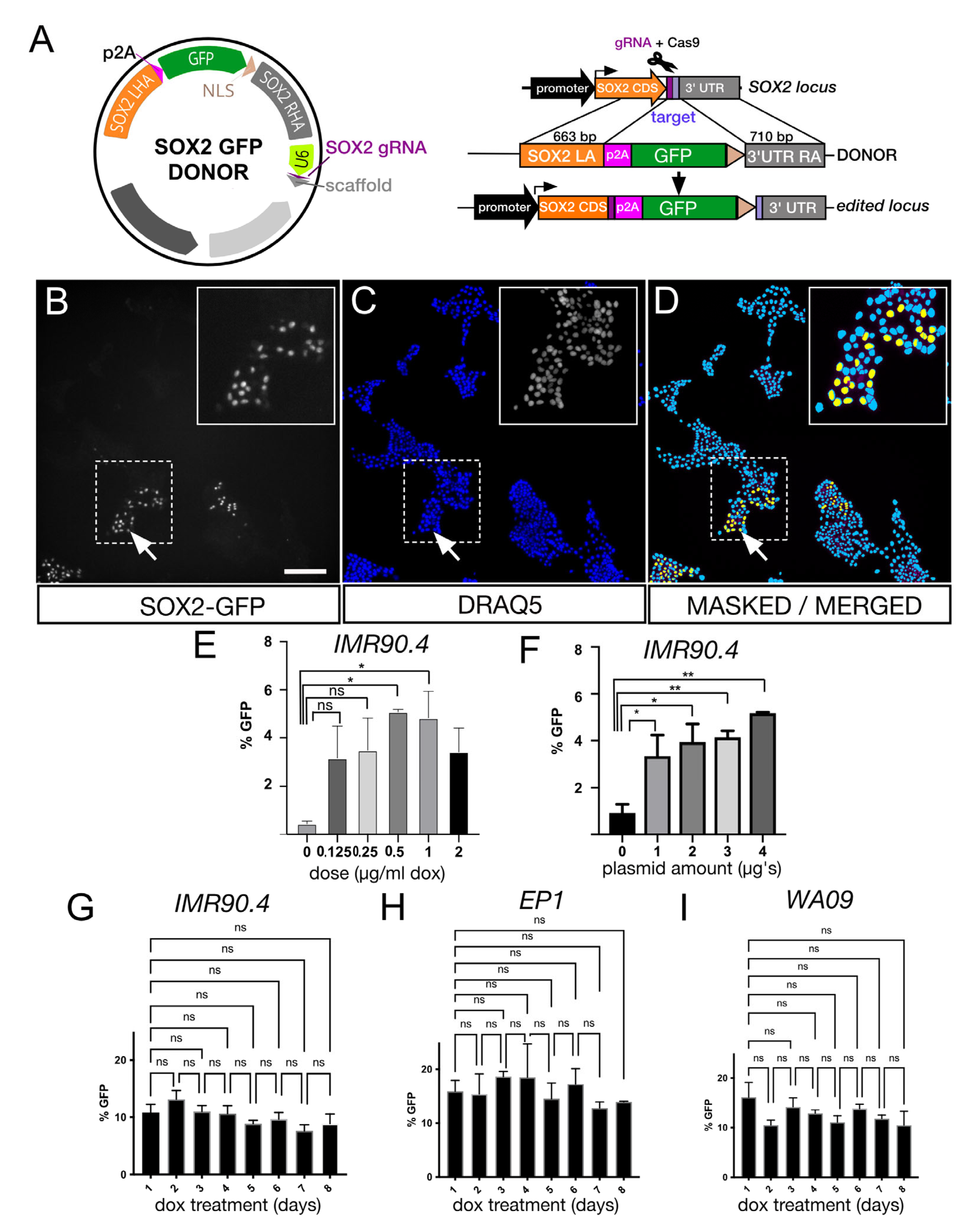 Genes 13 02363 g002 Genes 13 02363 g002