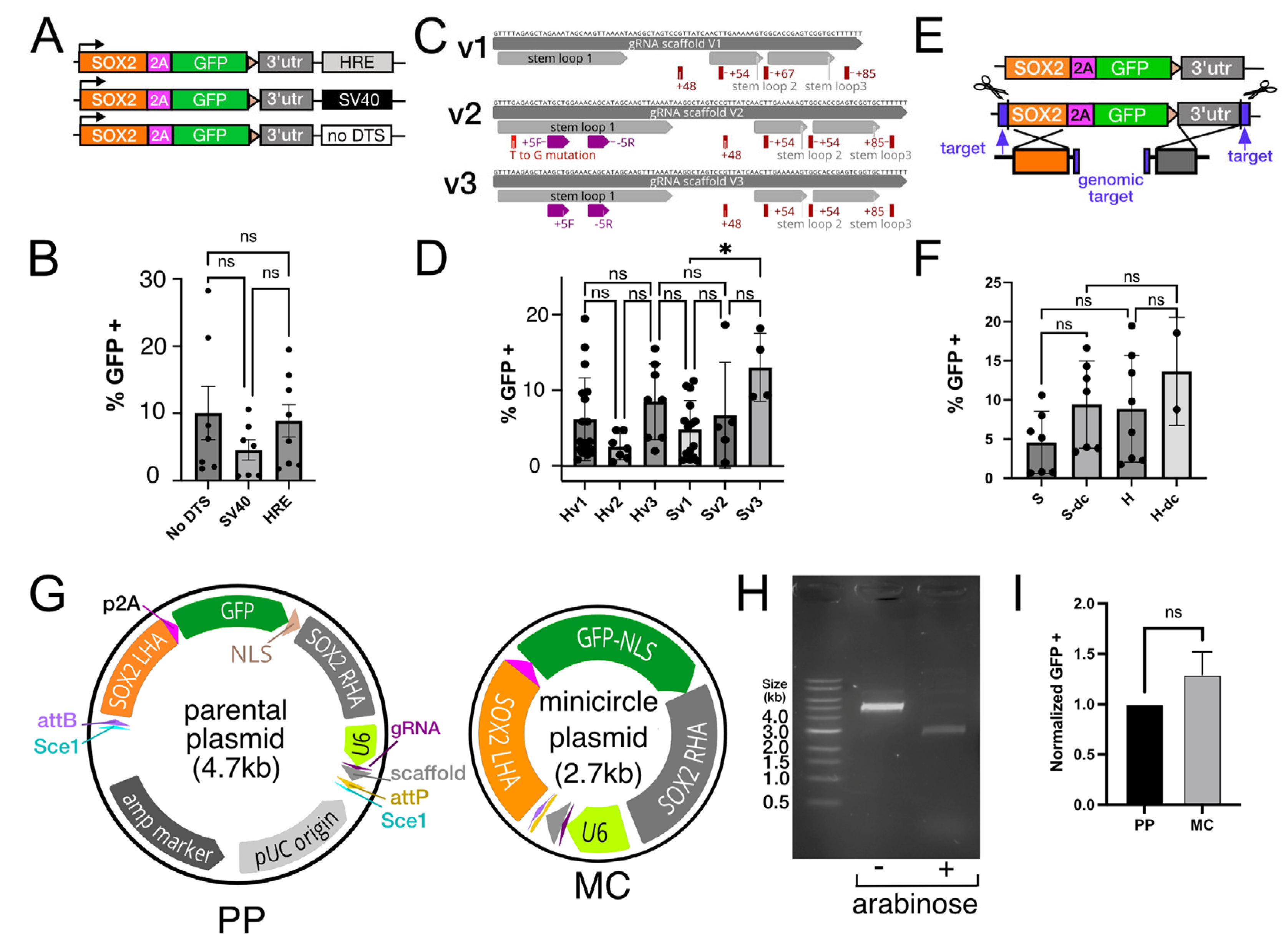 Genes 13 02363 g003 Genes 13 02363 g003