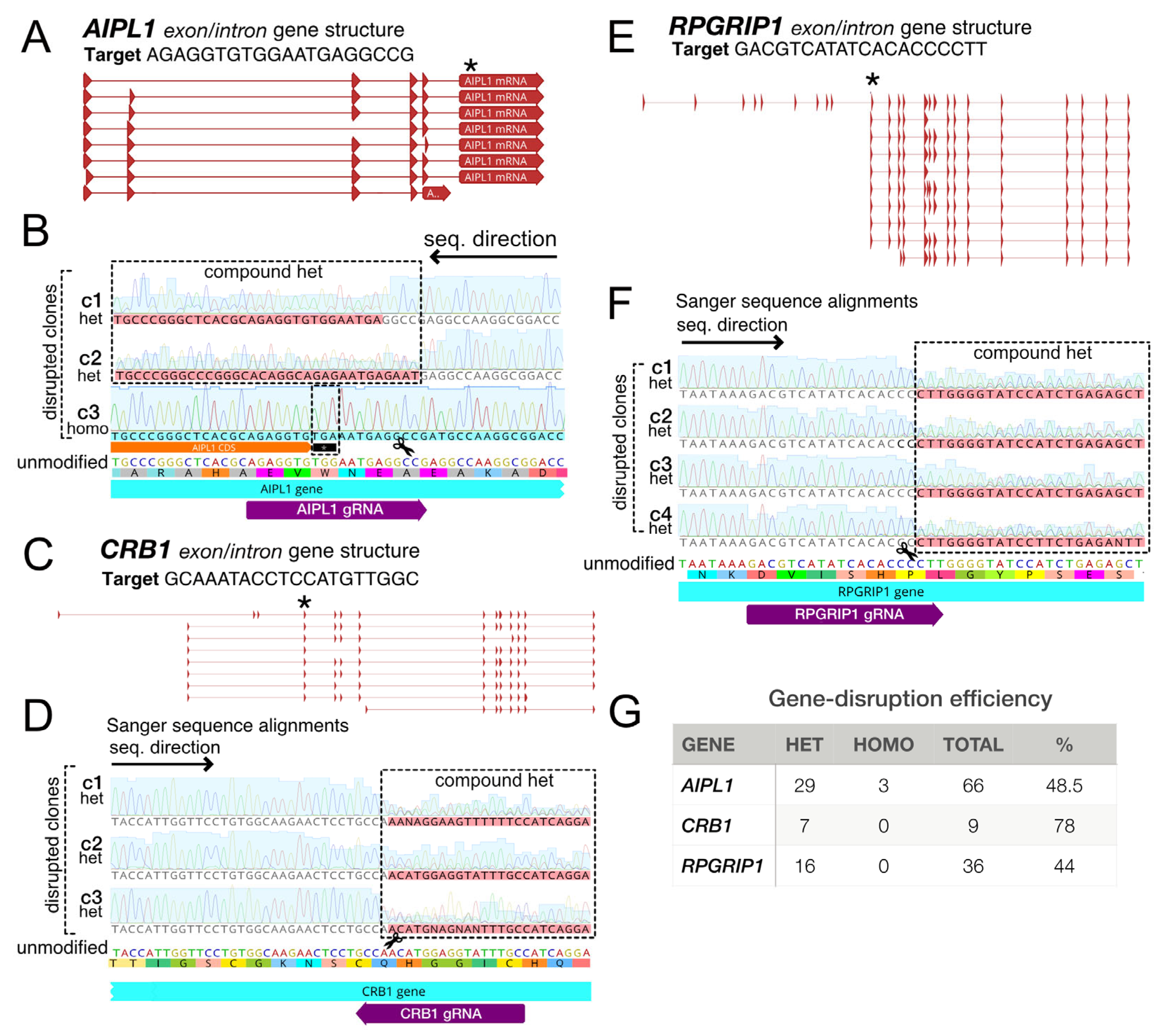Genes 13 02363 g007 Genes 13 02363 g007