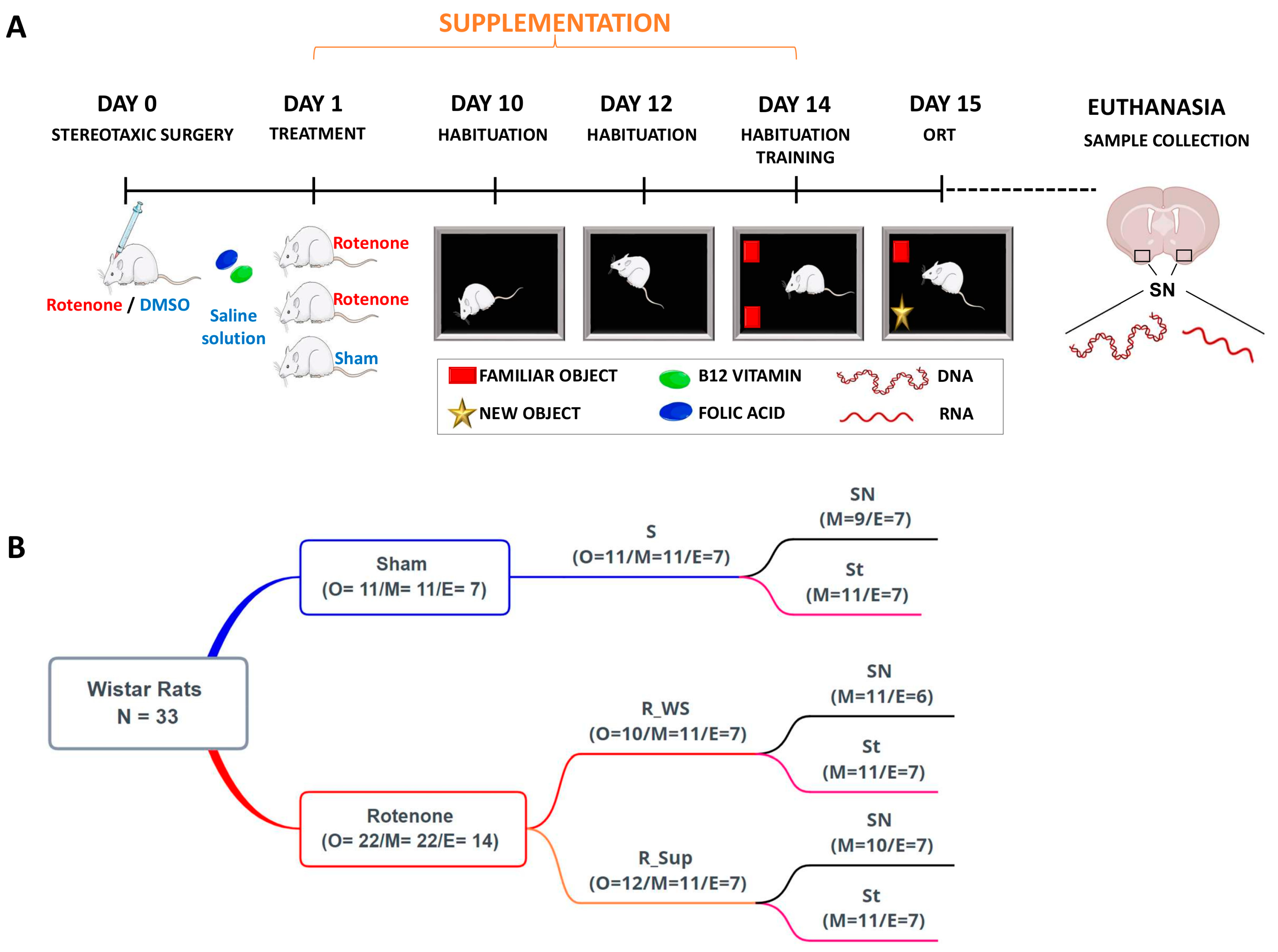 Genes 13 02397 g001 Genes 13 02397 g001