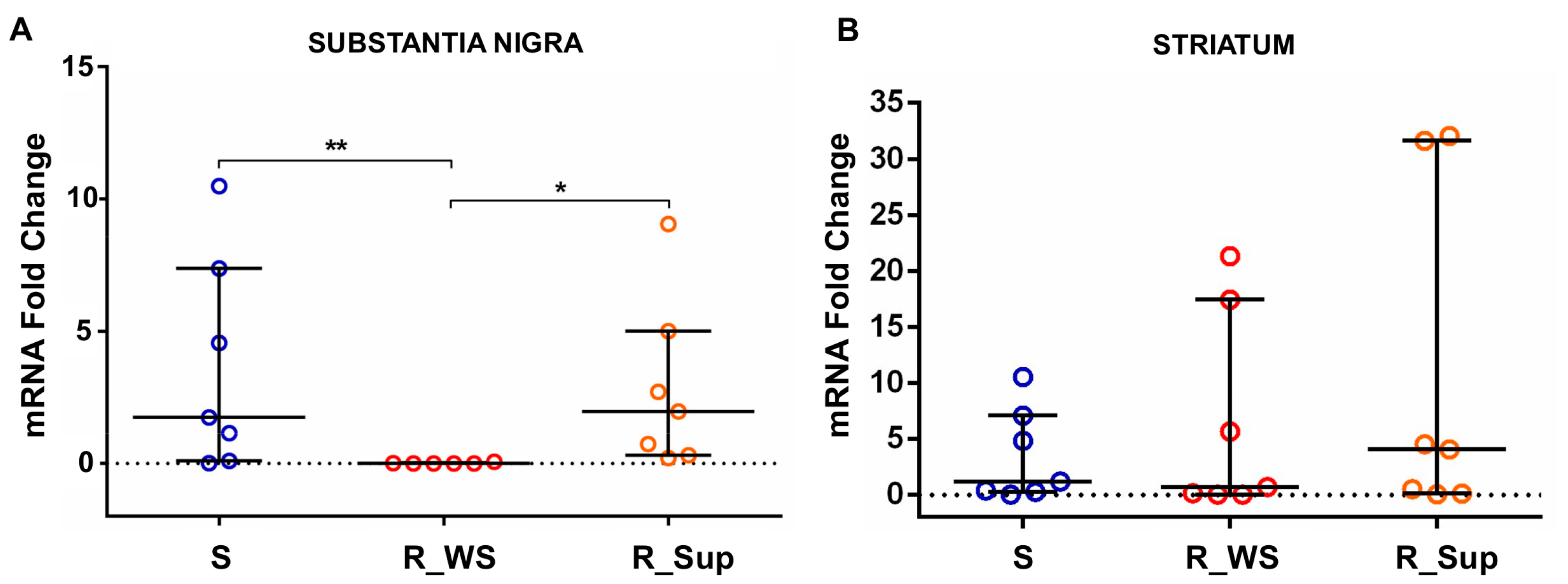 Genes 13 02397 g003 Genes 13 02397 g003