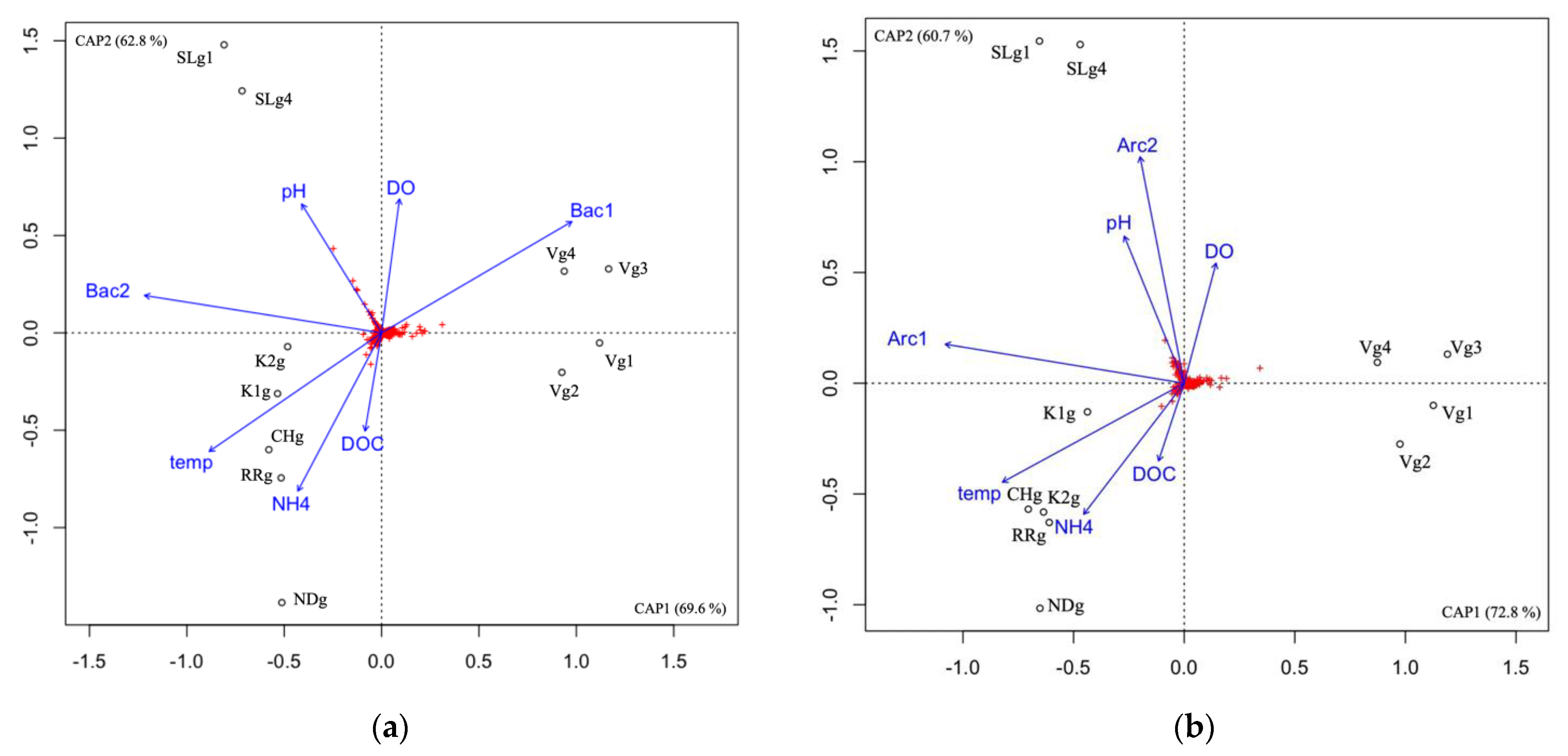 Genes 14 00001 g004 Genes 14 00001 g004