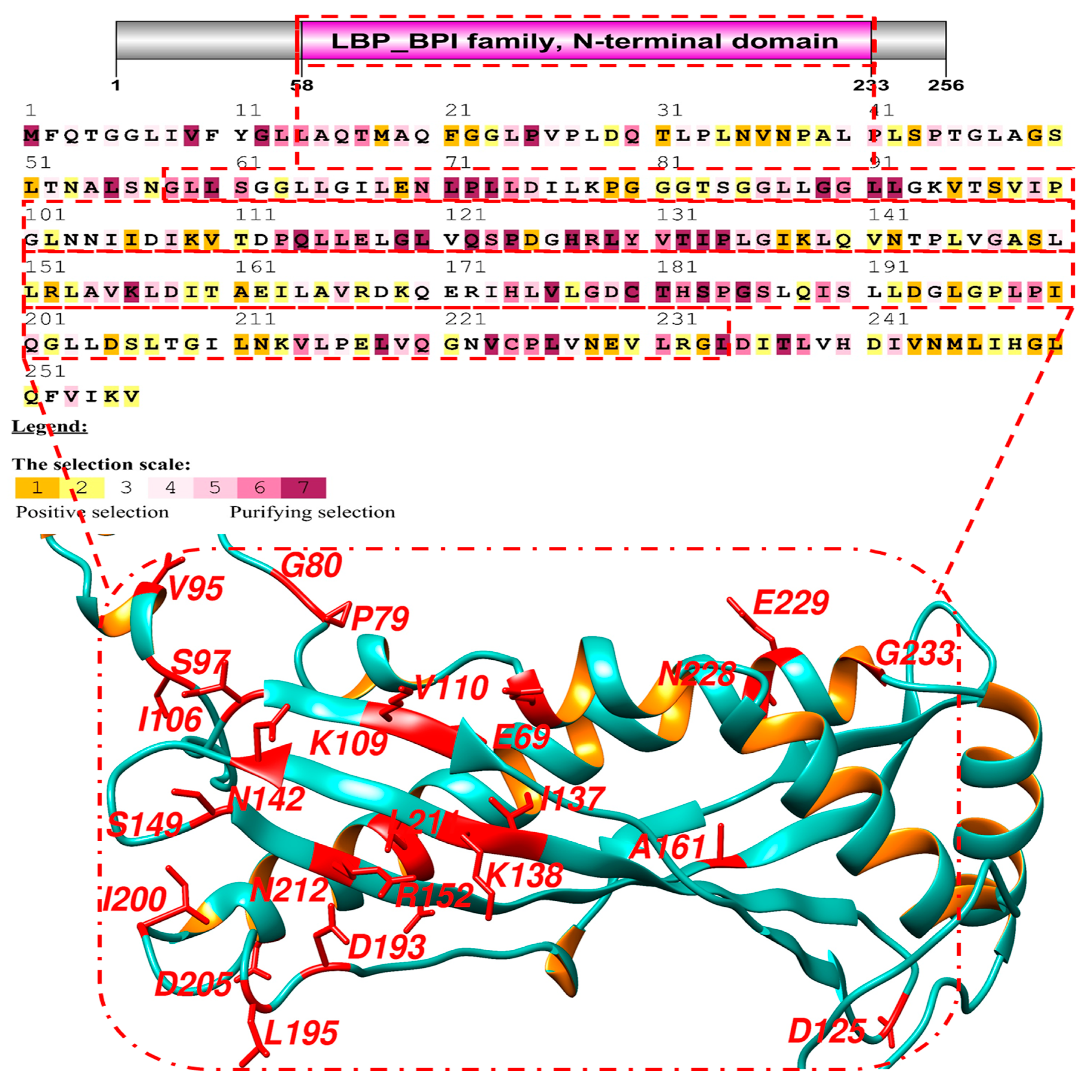 Genes 14 00015 g001