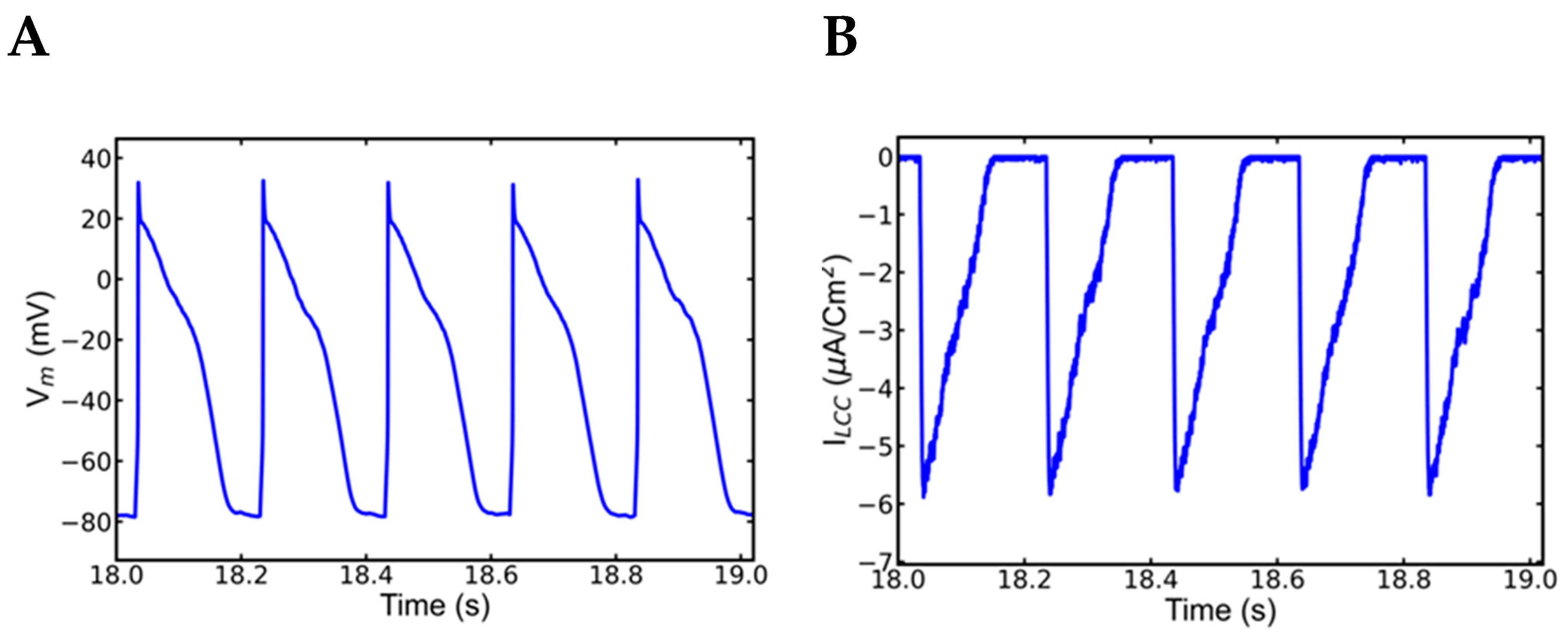 Genes 14 00023 g007a