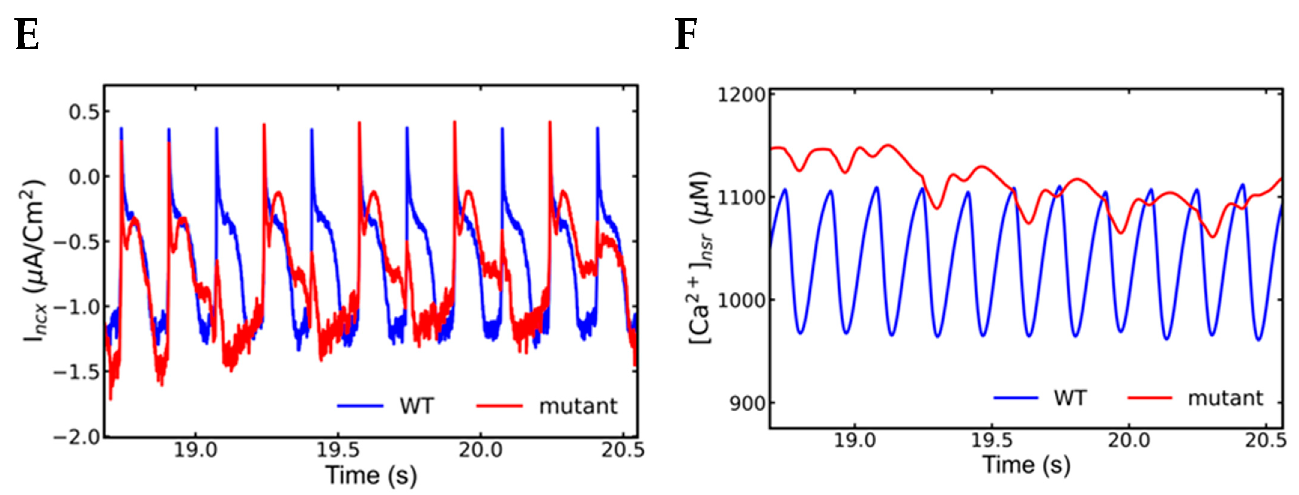 Genes 14 00023 g012b
