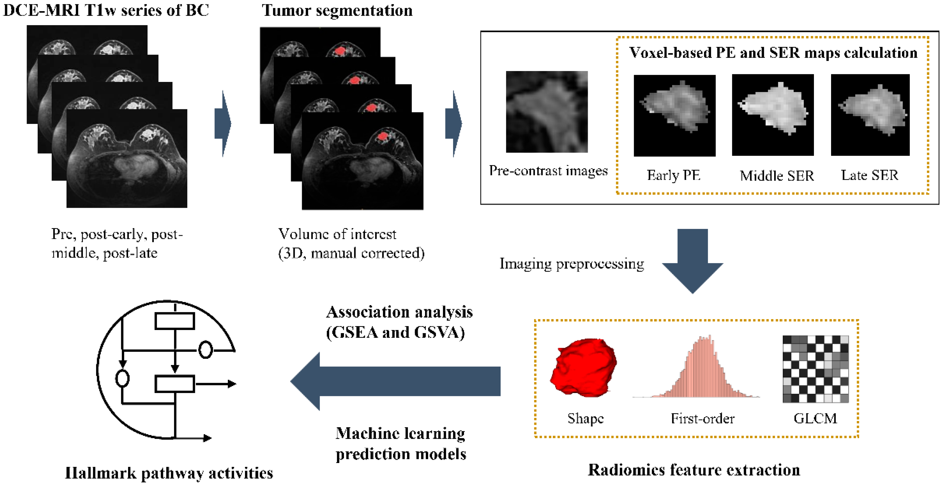 Genes 14 00028 g001 Genes 14 00028 g001