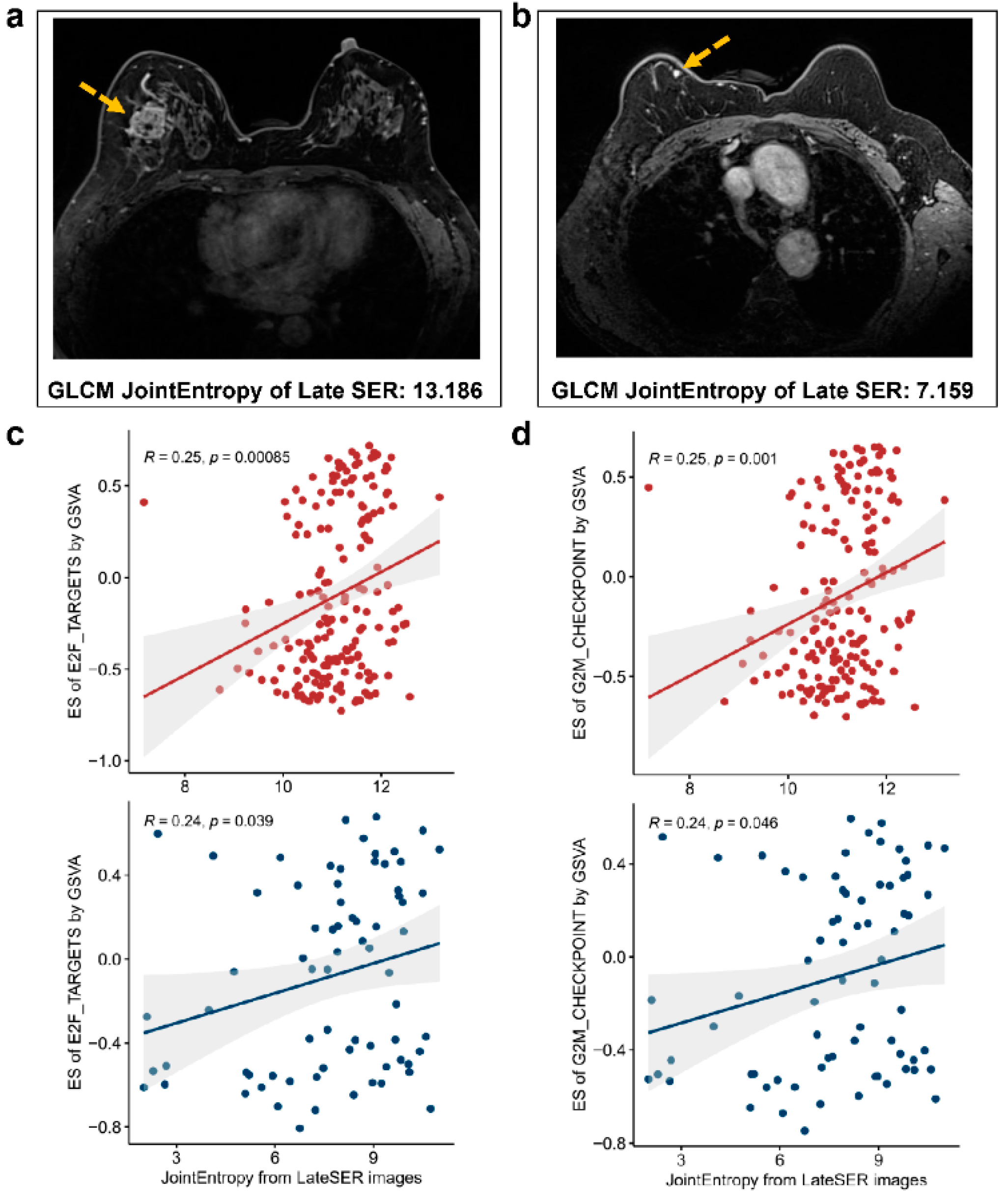 Genes 14 00028 g005 Genes 14 00028 g005