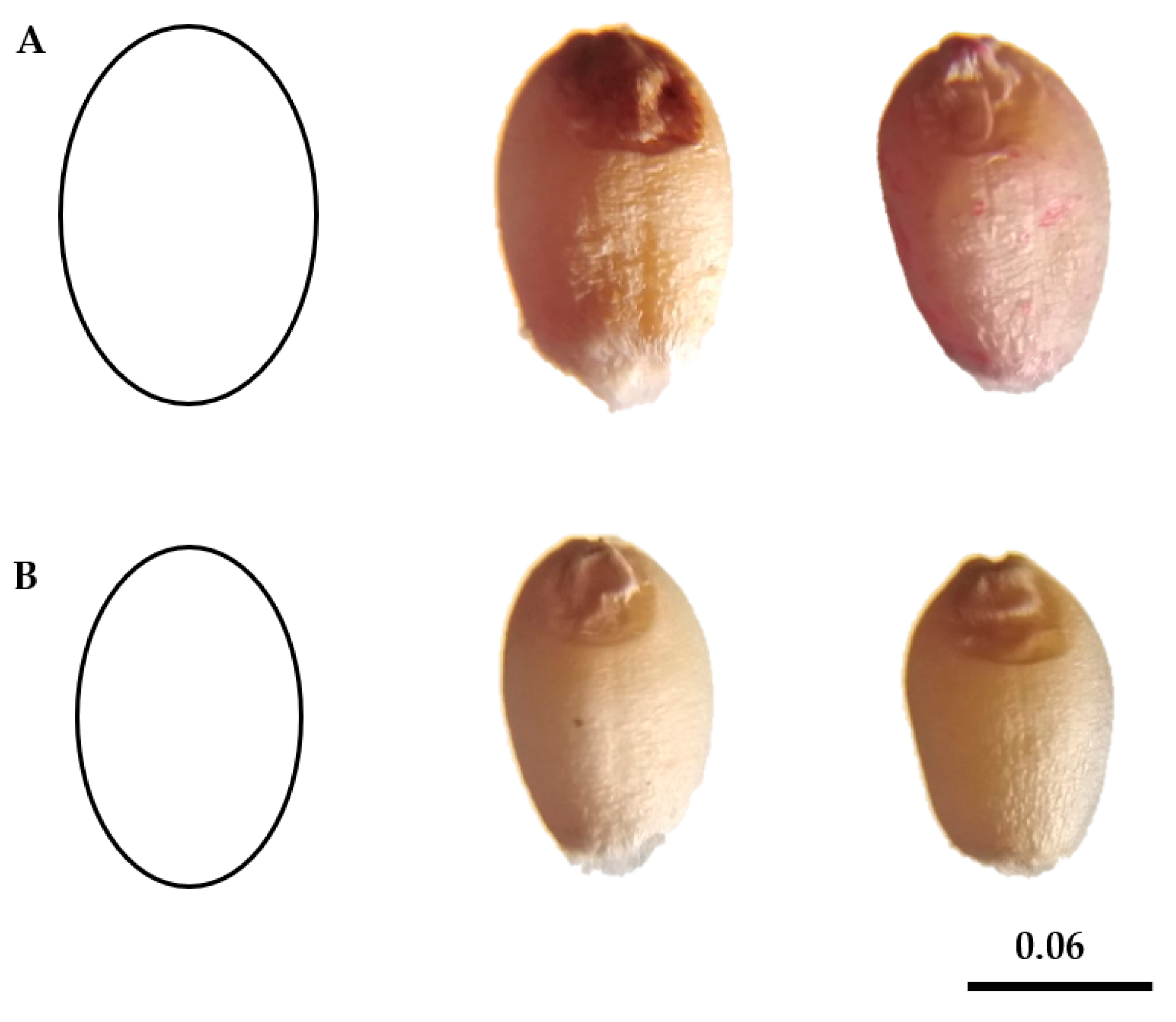 Genes 14 00034 g002 Genes 14 00034 g002