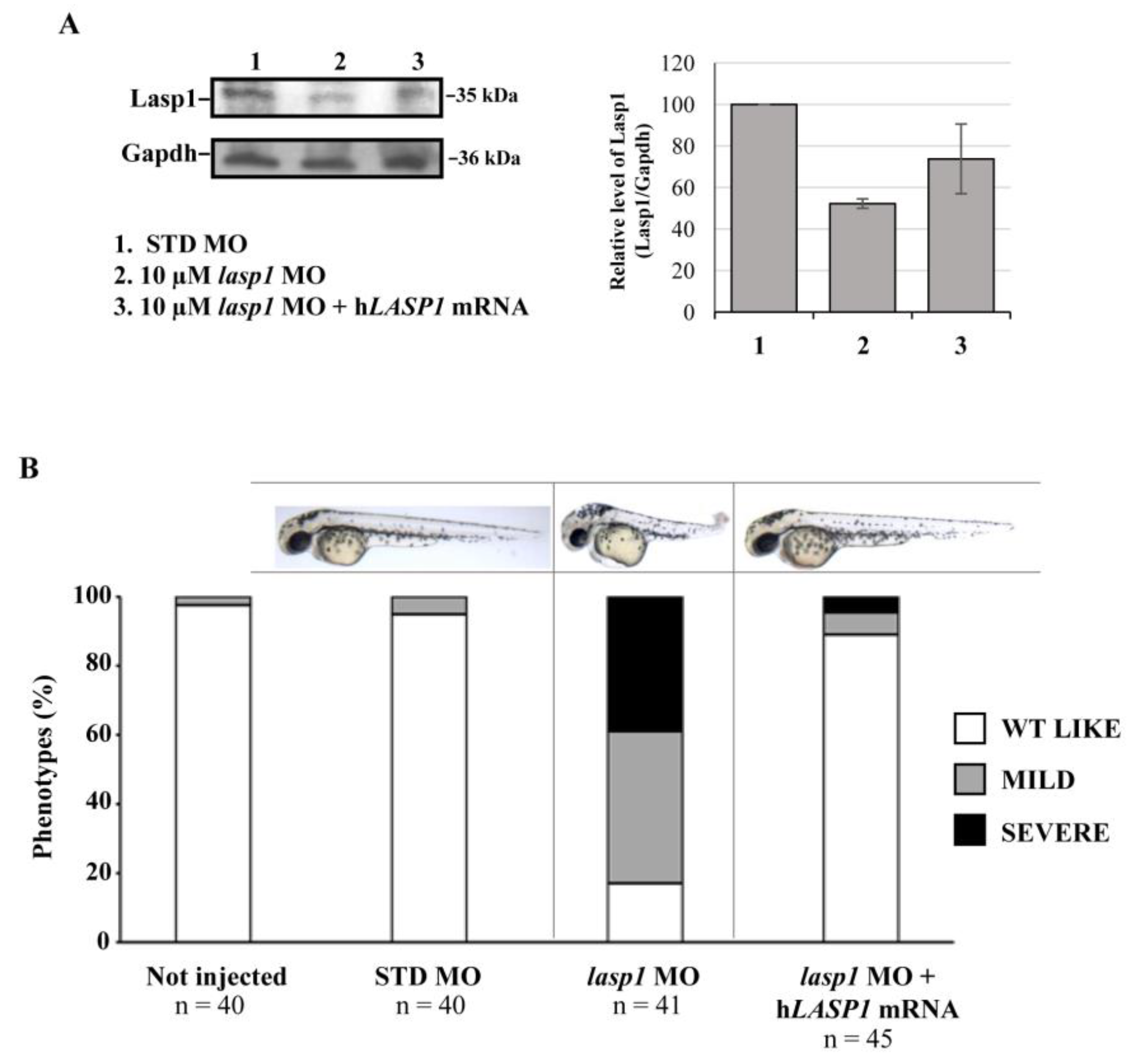 Genes 14 00035 g006