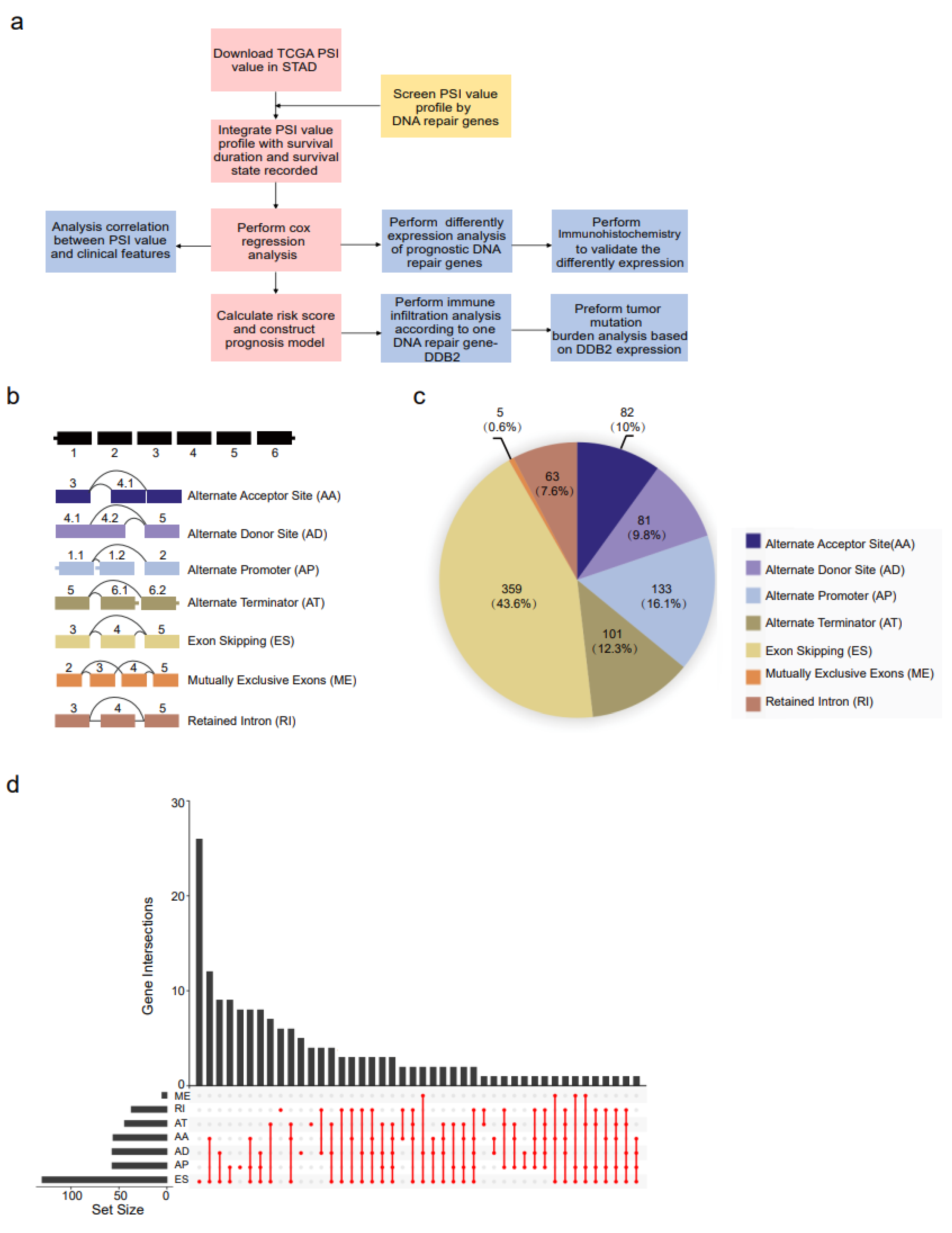 Genes 14 00039 g001