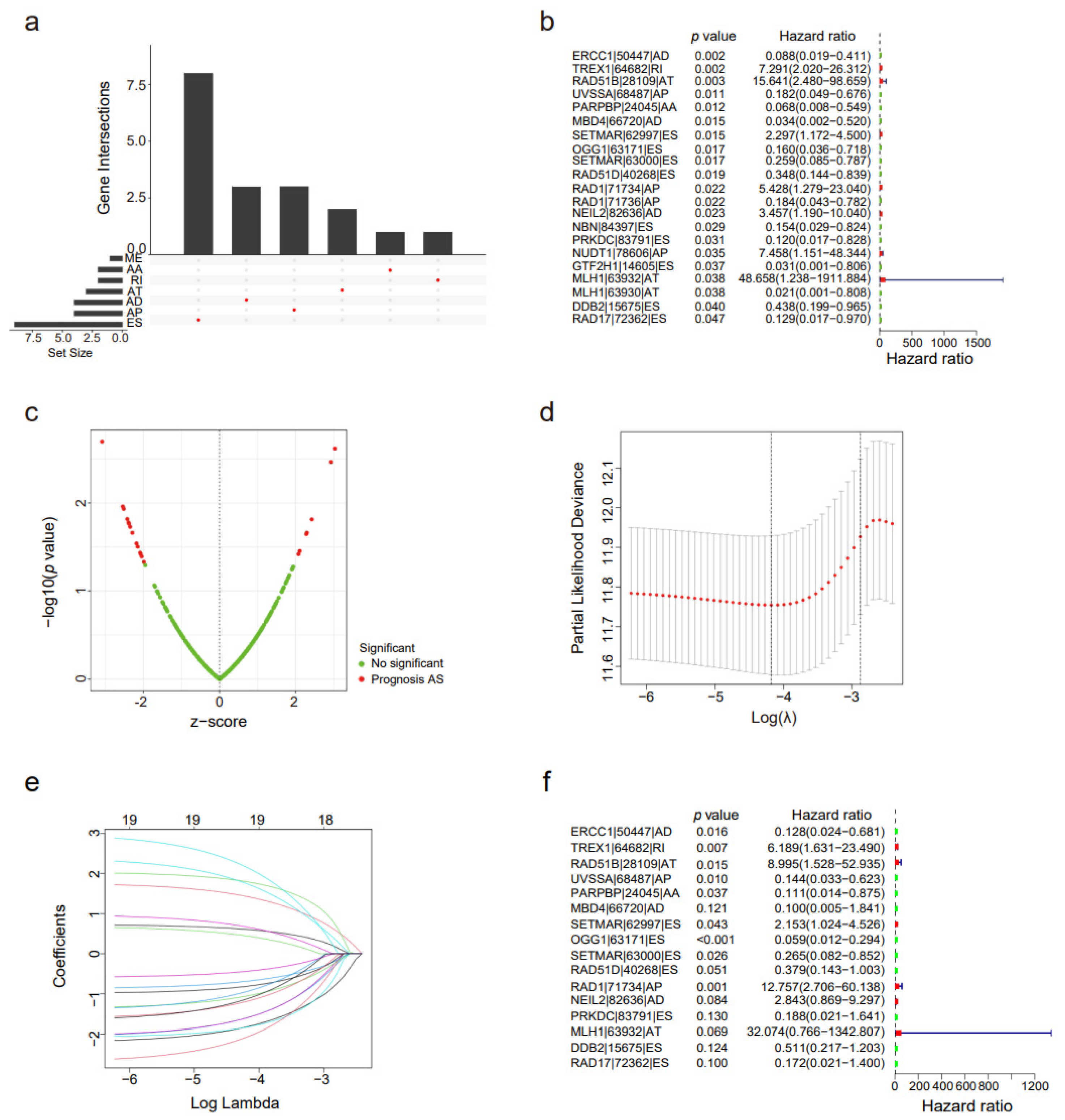 Genes 14 00039 g002