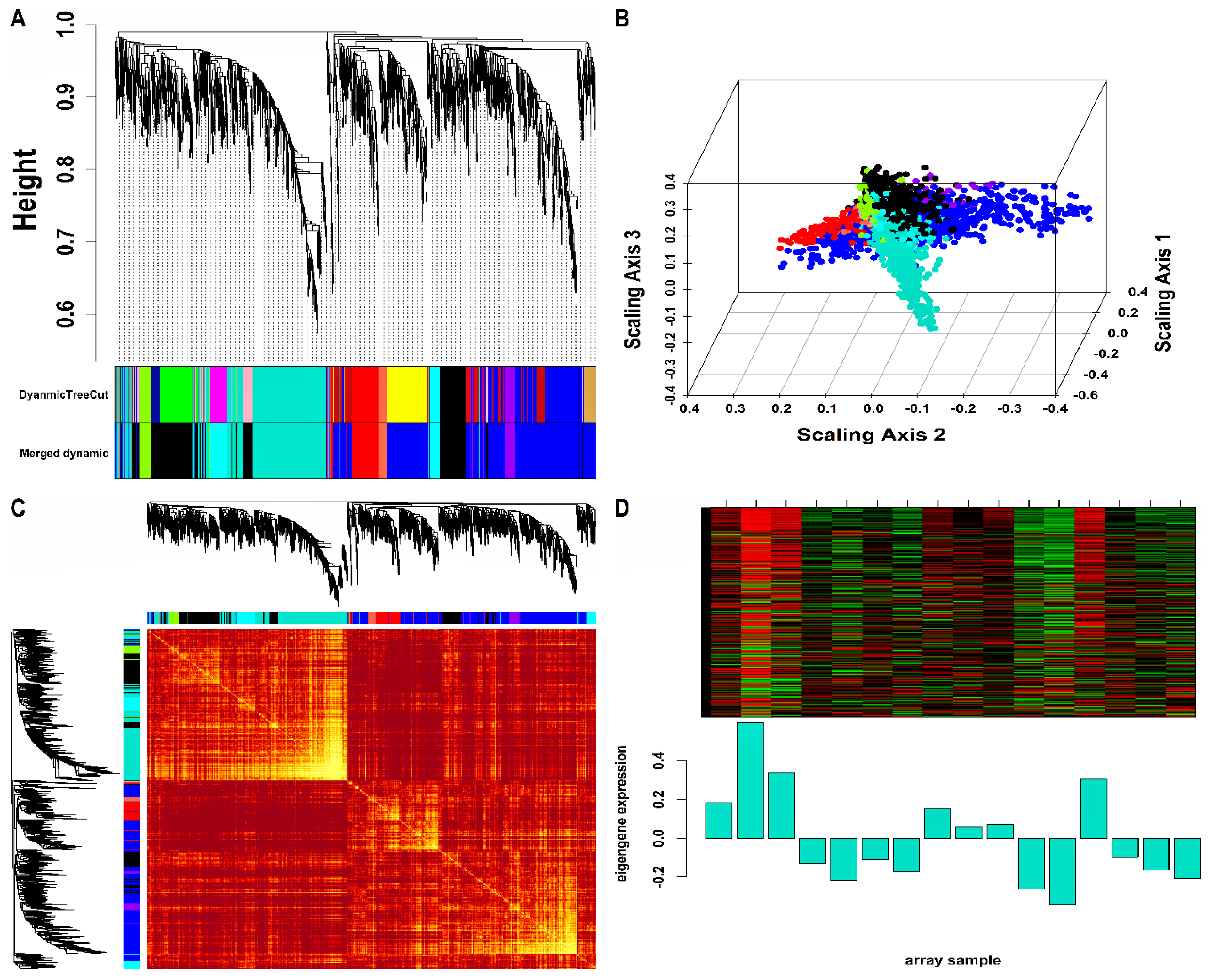 Genes 14 00042 g002