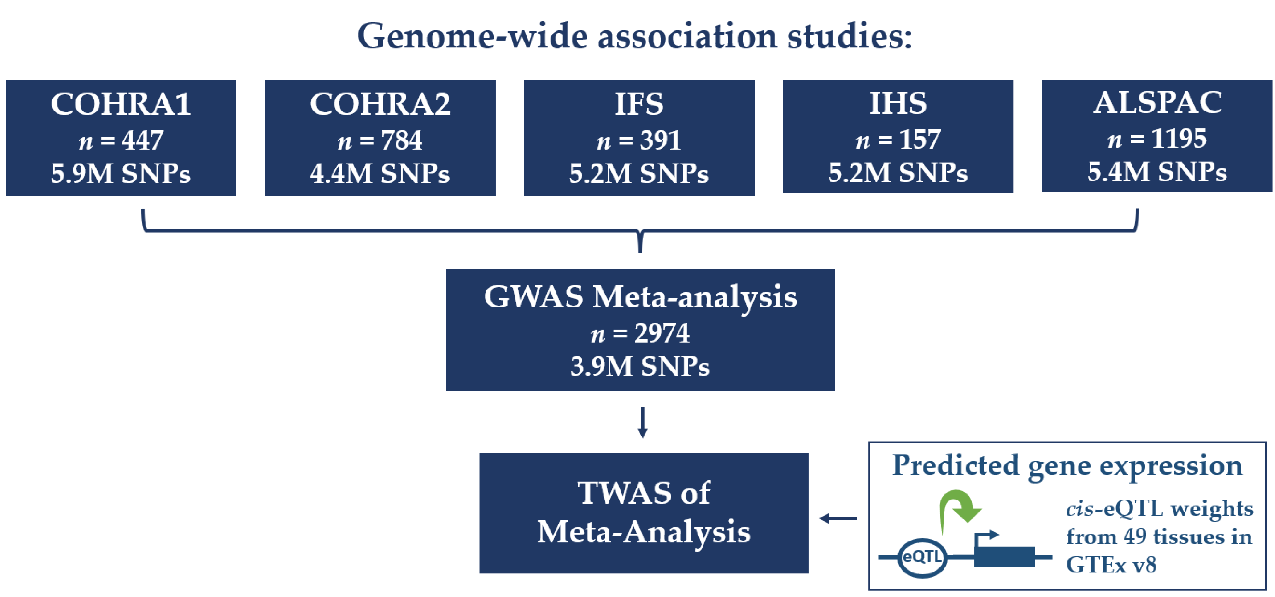 Genes 14 00059 g001