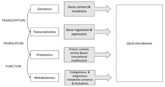Genes 14 00063 g001