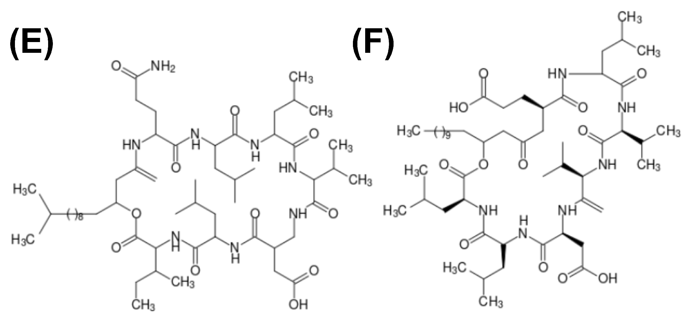 Genes 14 00076 g003b