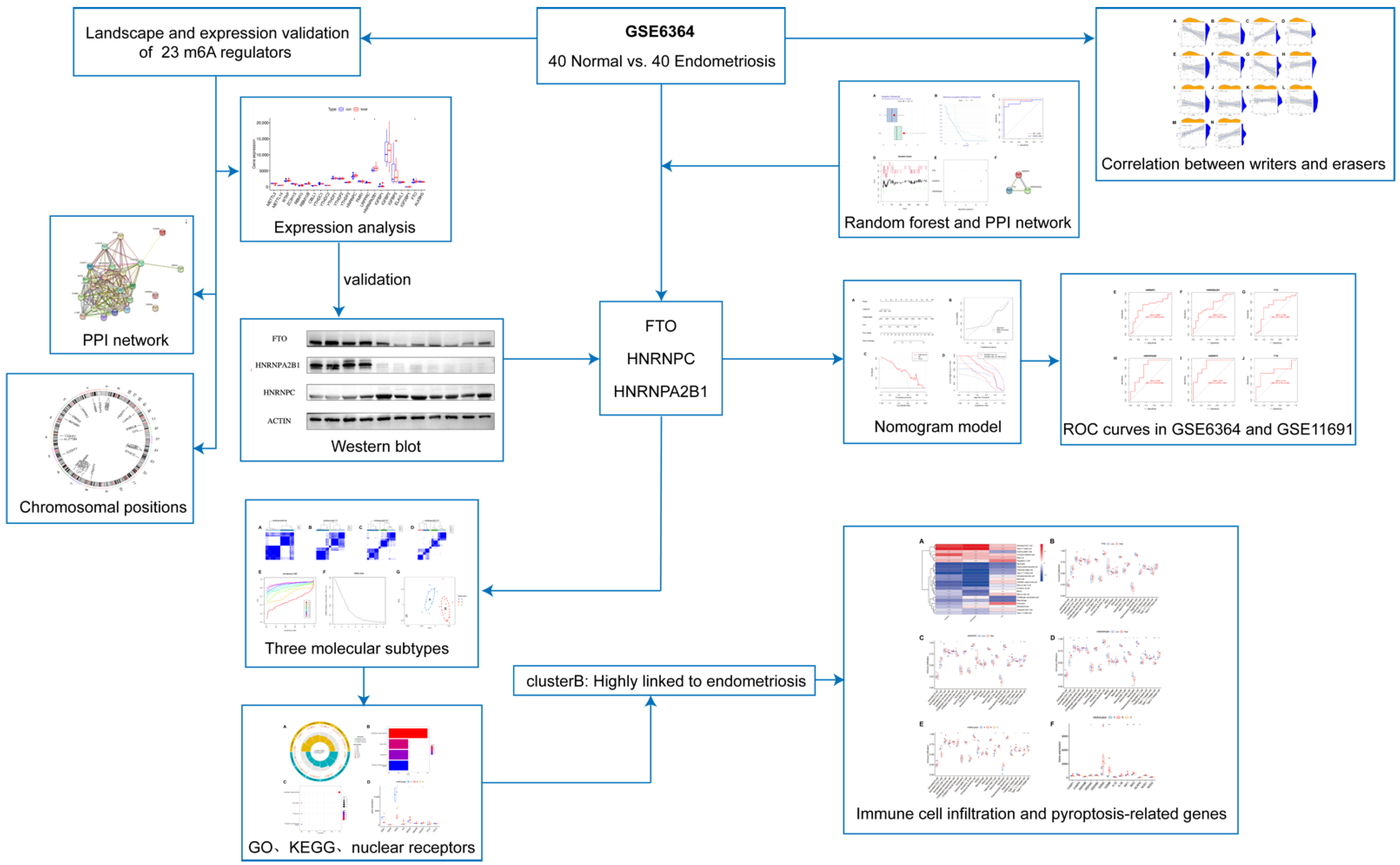 Genes 14 00086 g001