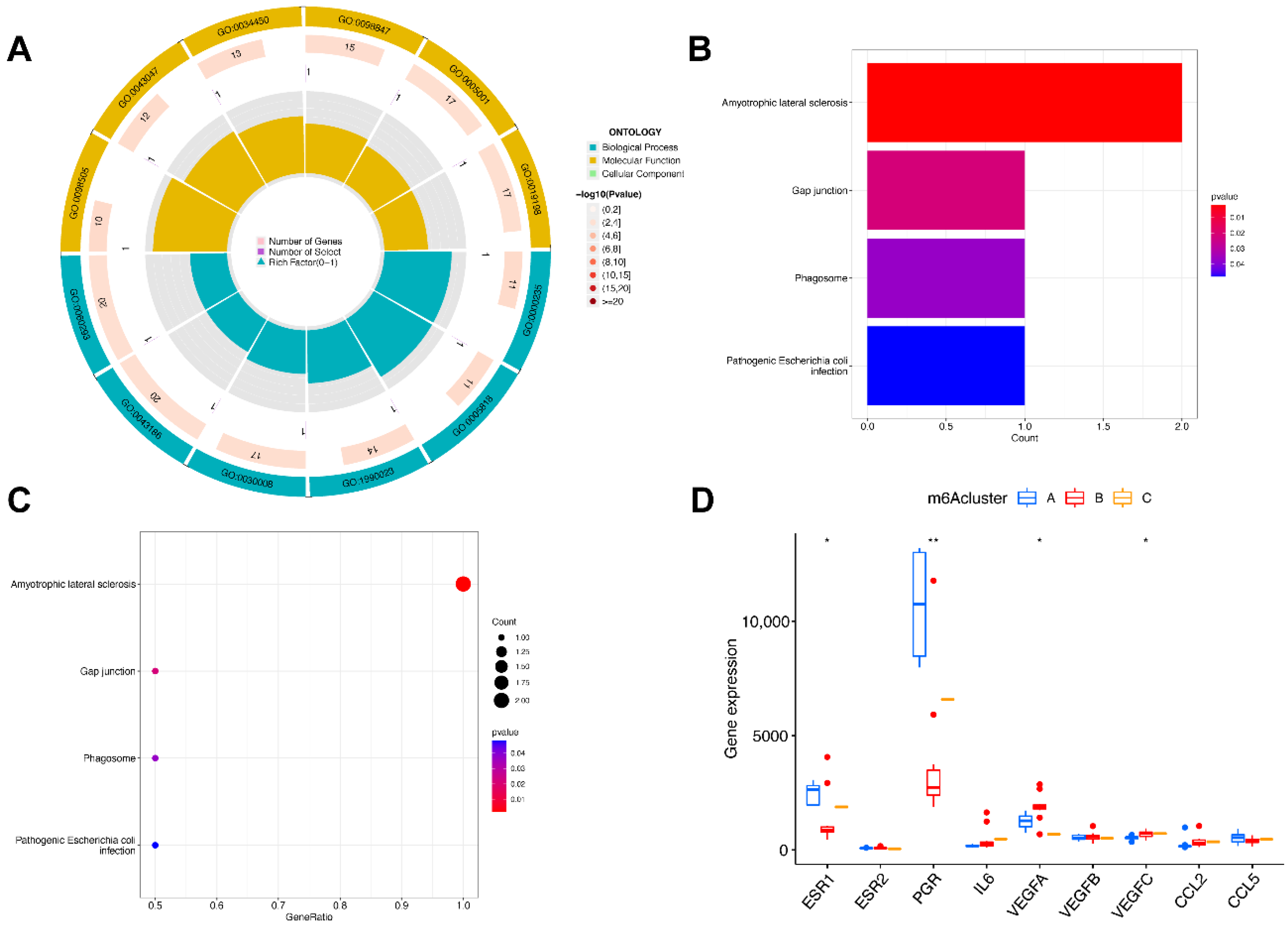 Genes 14 00086 g007