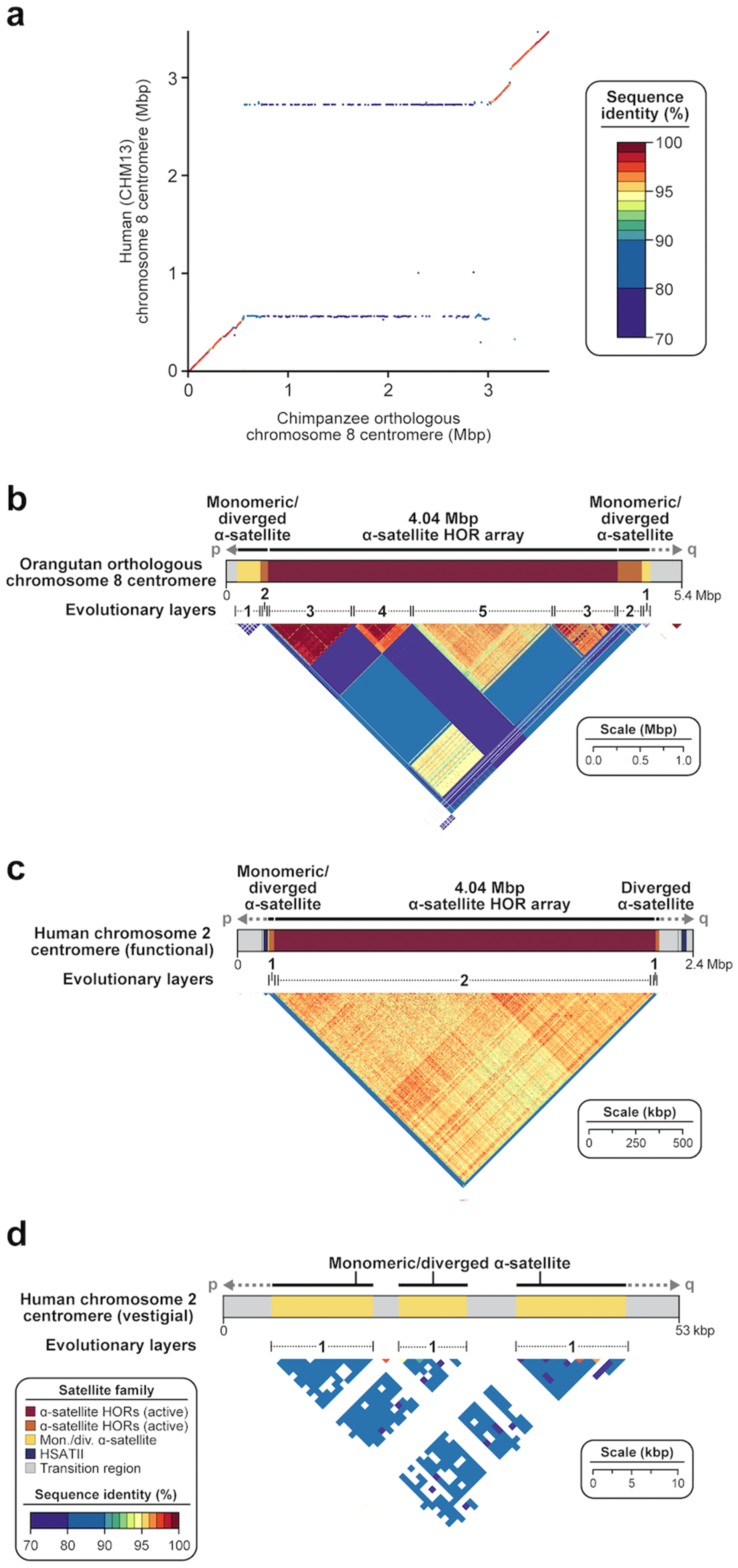 Genes 14 00092 g006