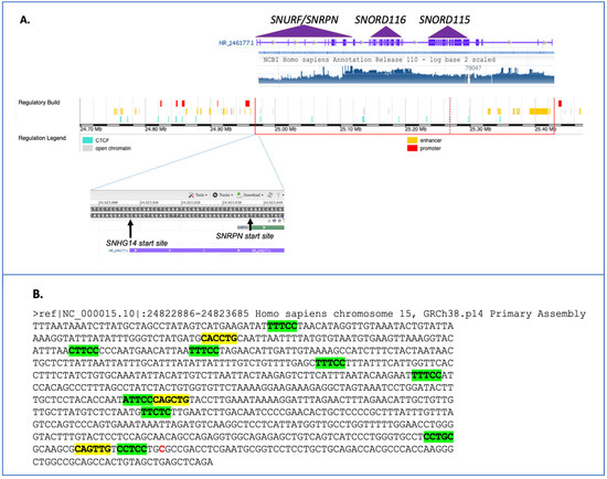 Genes 14 00097 g003