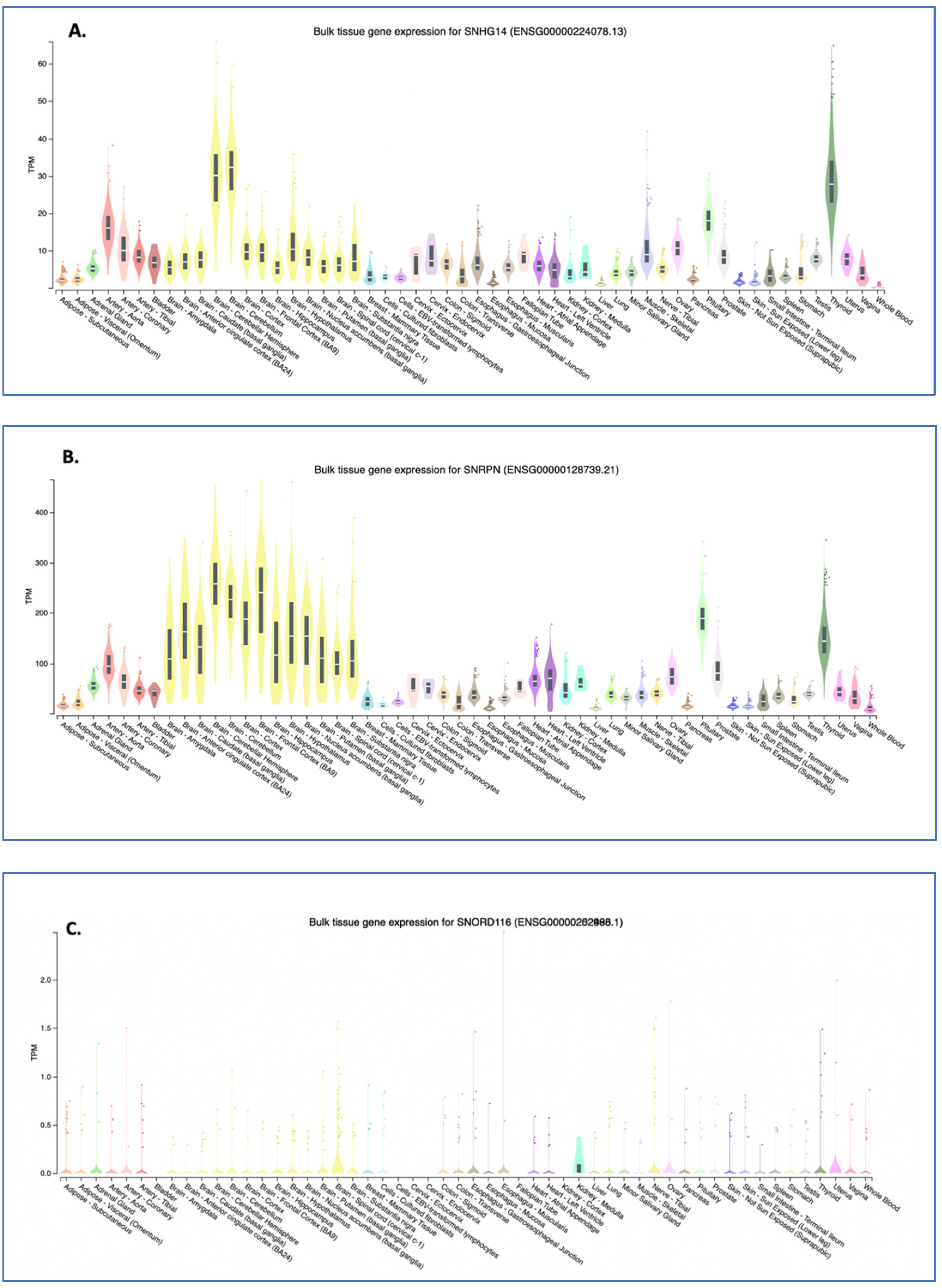 Genes 14 00097 g004