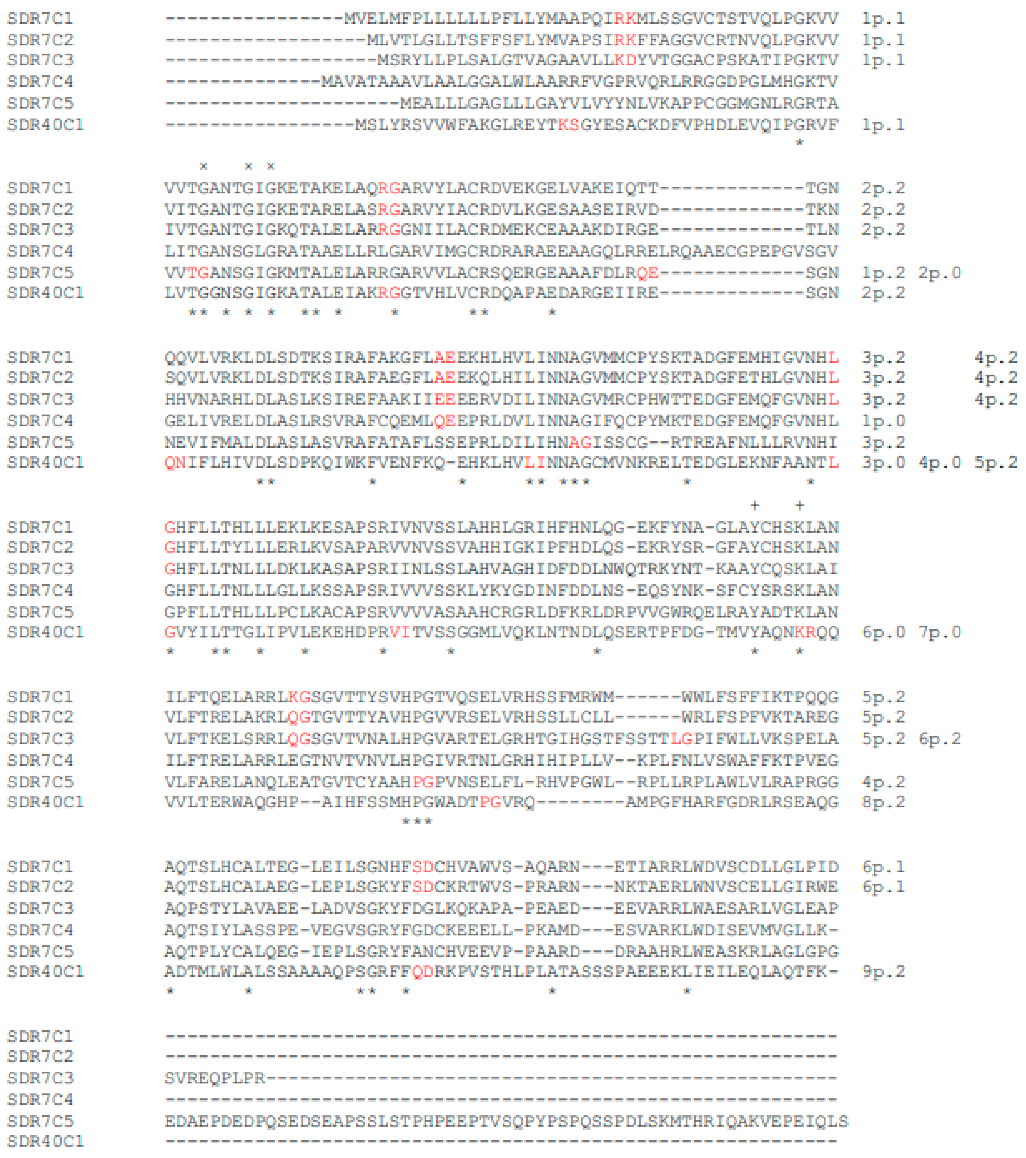 Genes 14 00110 g001 Genes 14 00110 g001