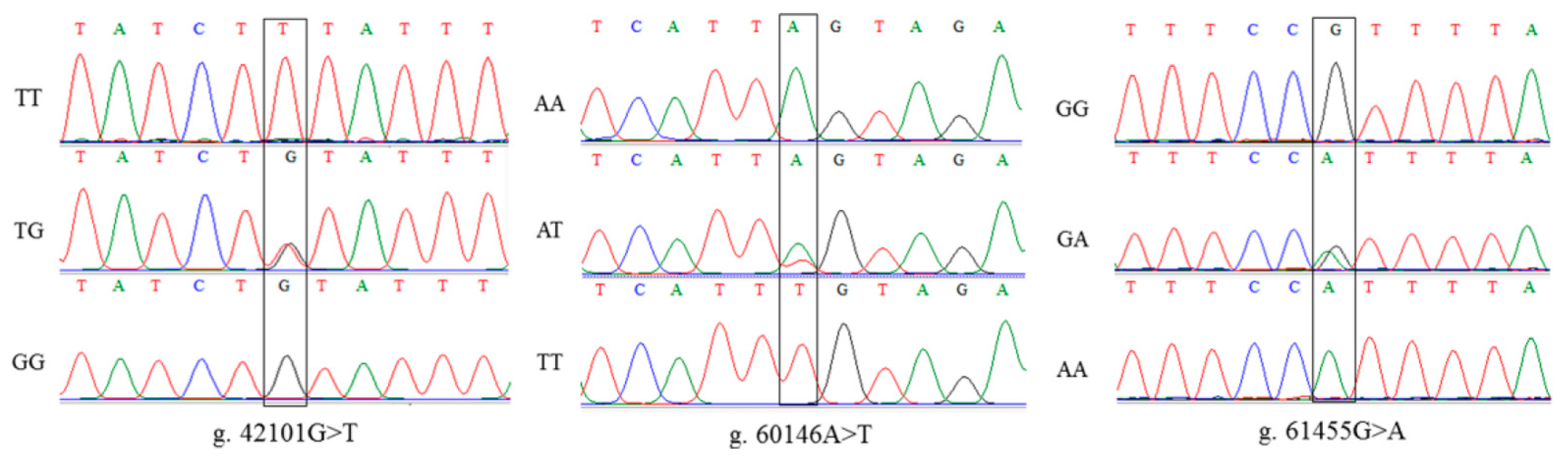 Genes 14 00113 g002
